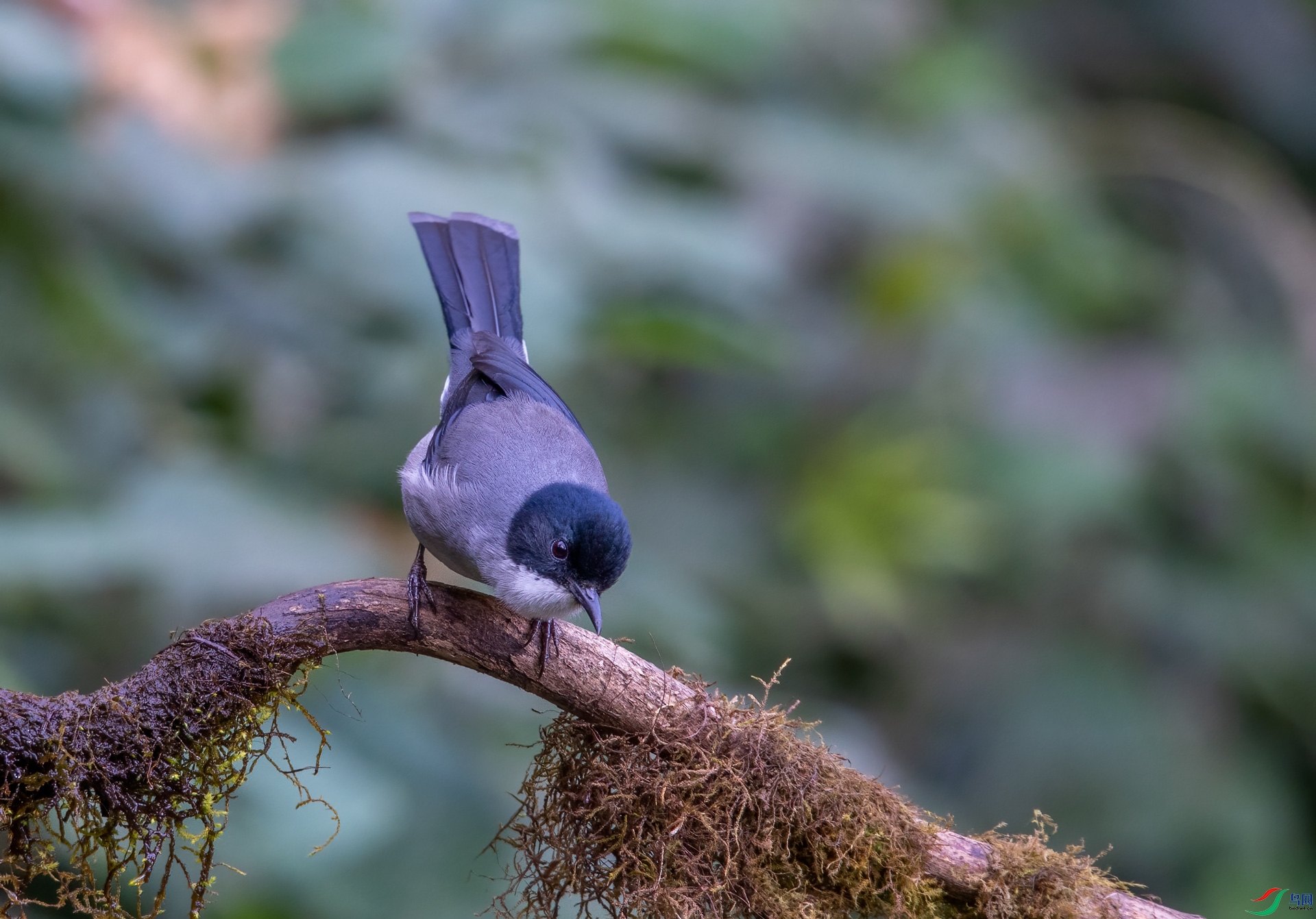 DSC_6414.jpg