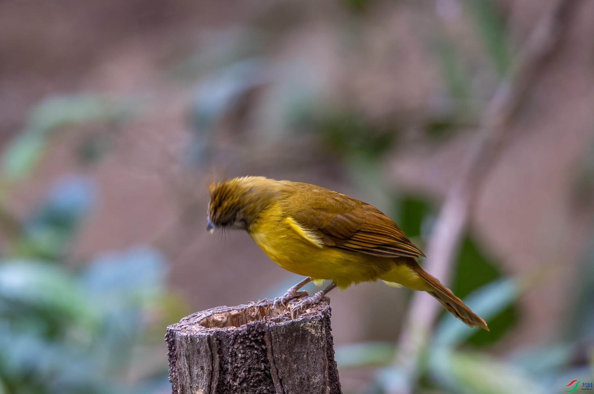 DSC_8172.jpg