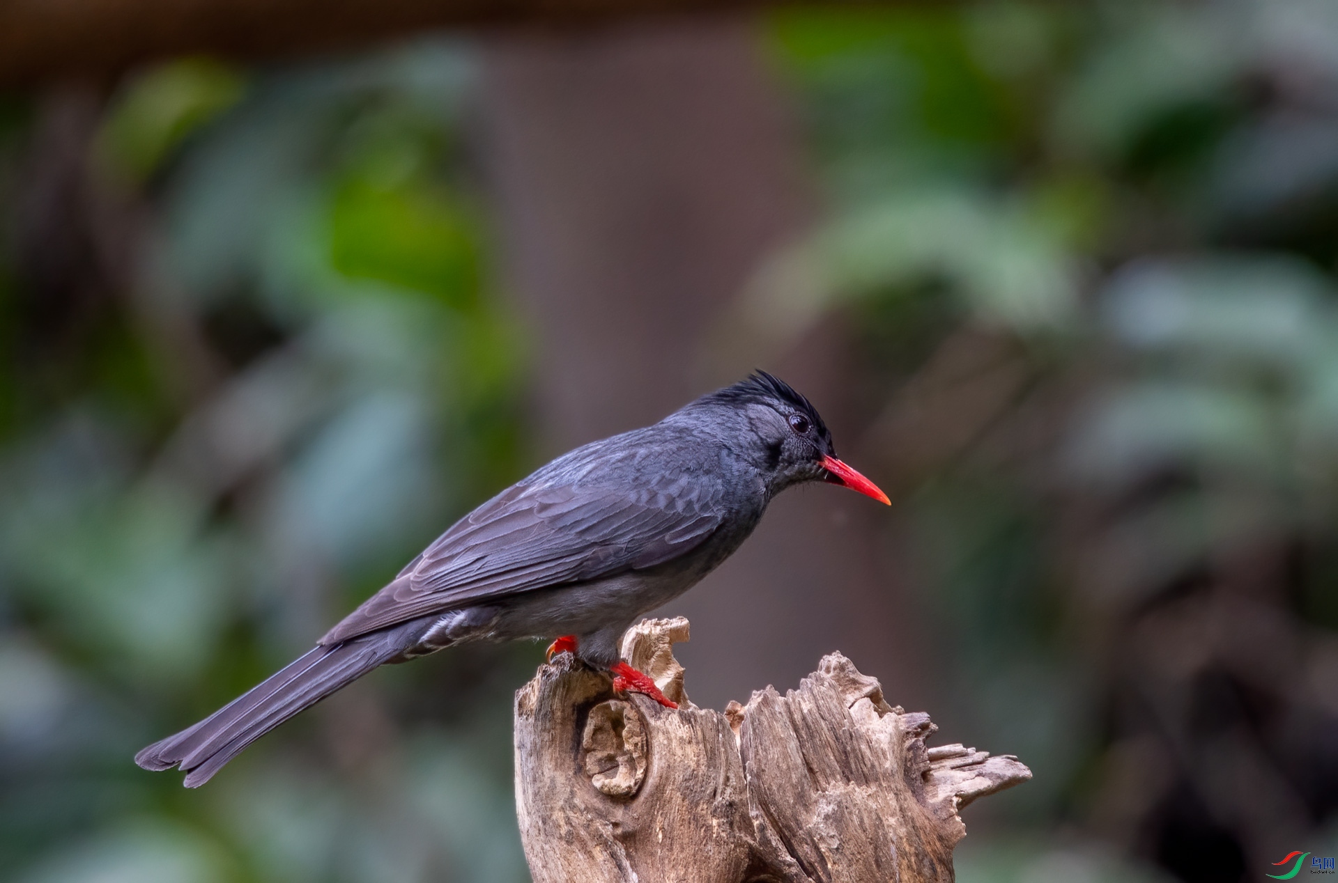 DSC_8171.jpg