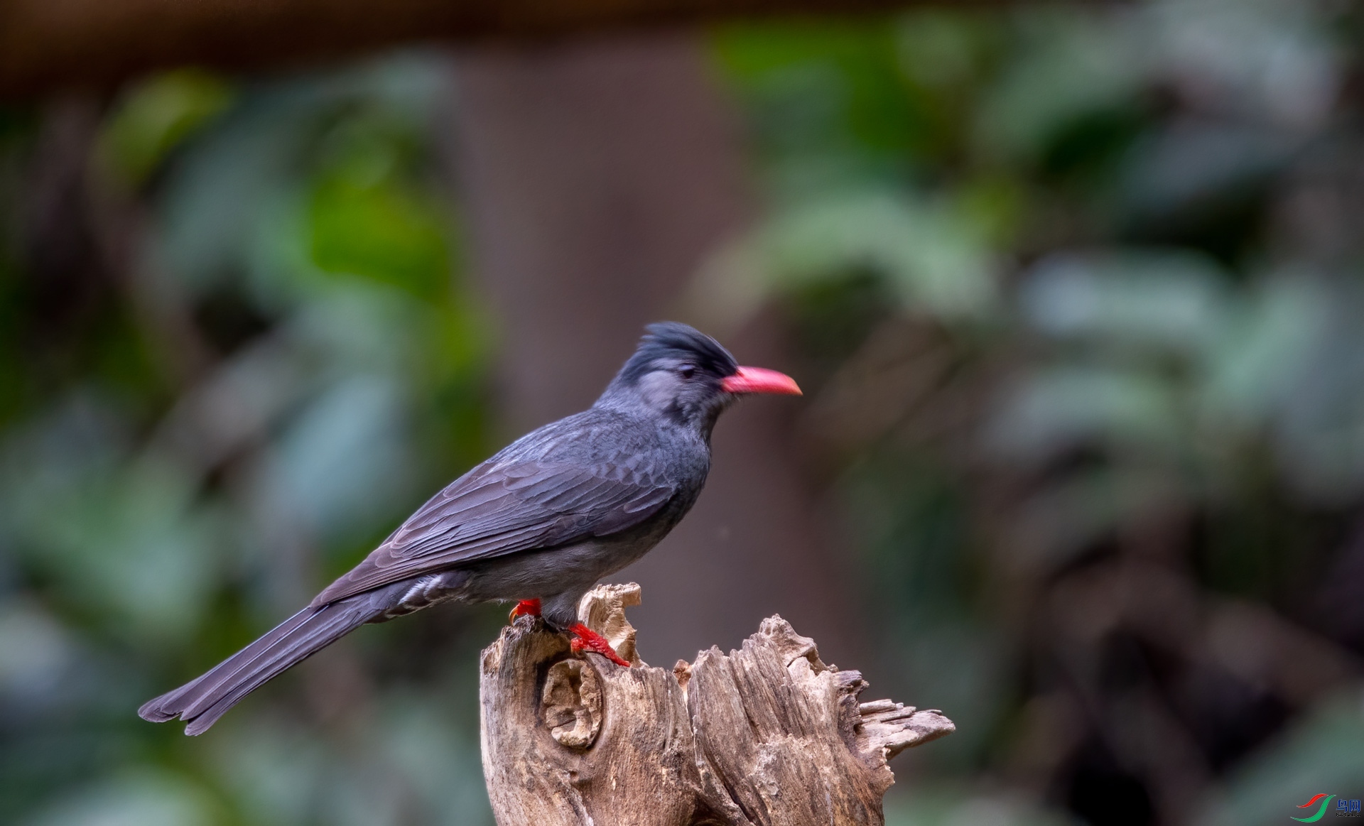 DSC_8170.jpg