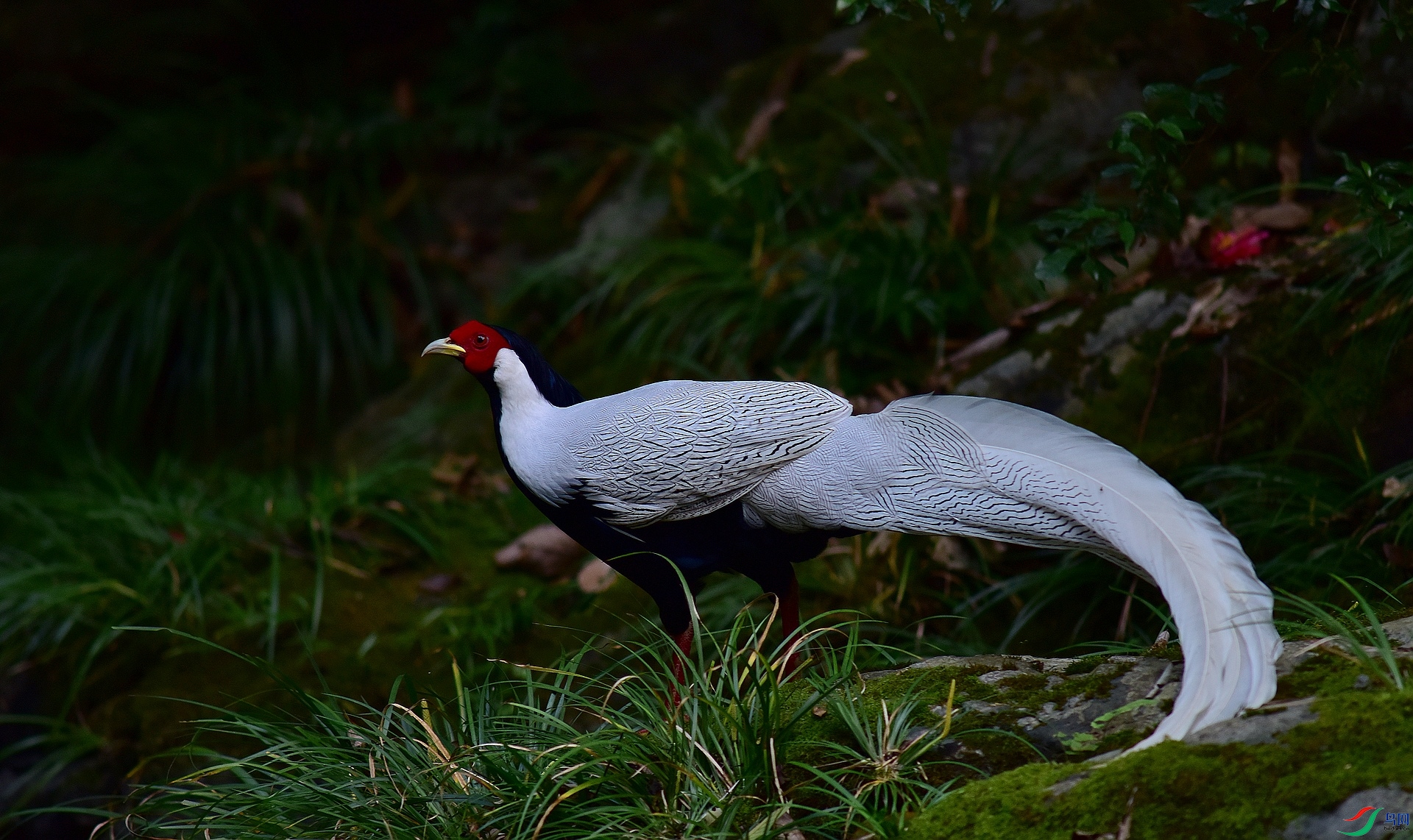 D8I_1219.jpg