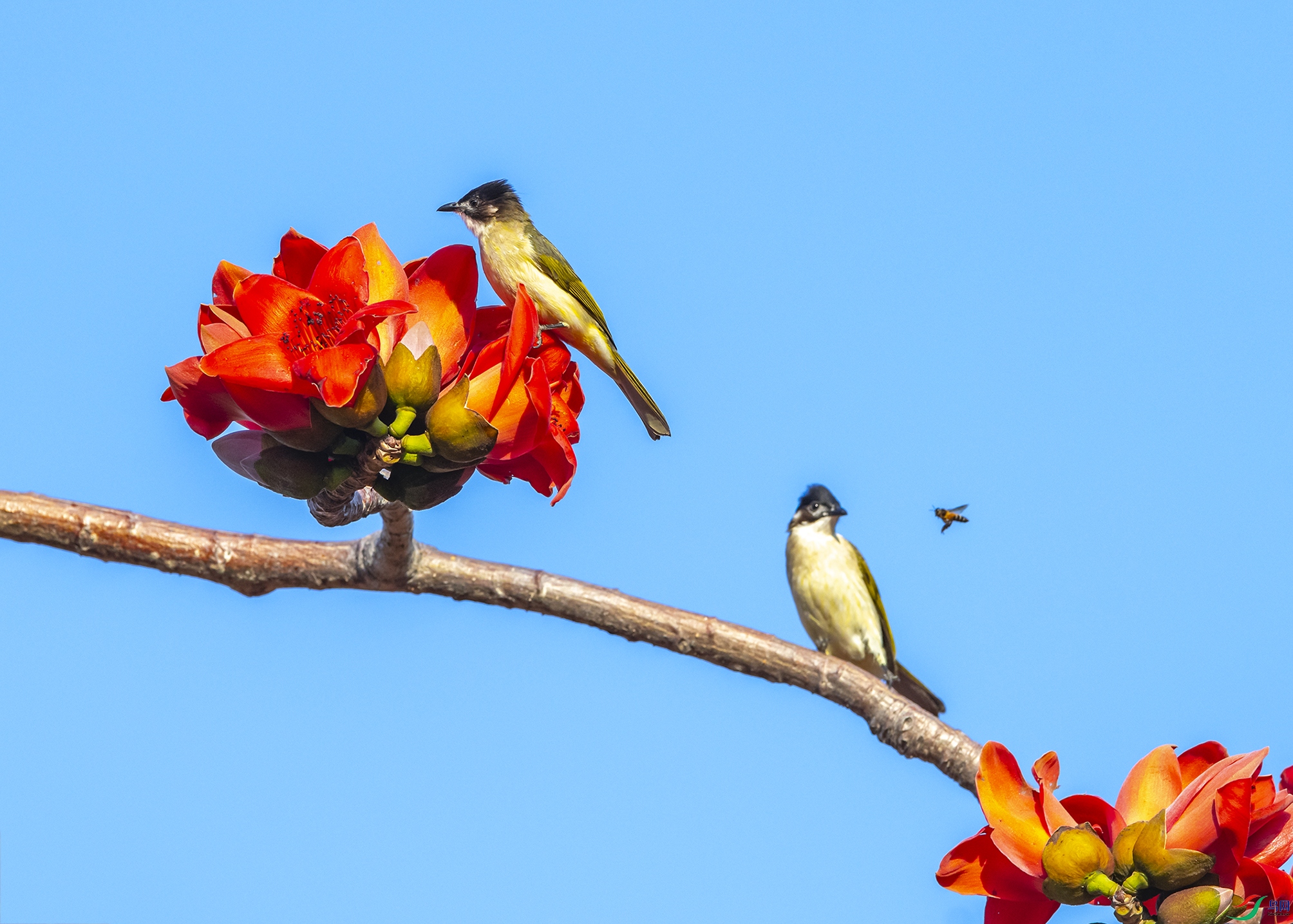 2407 ����.jpg