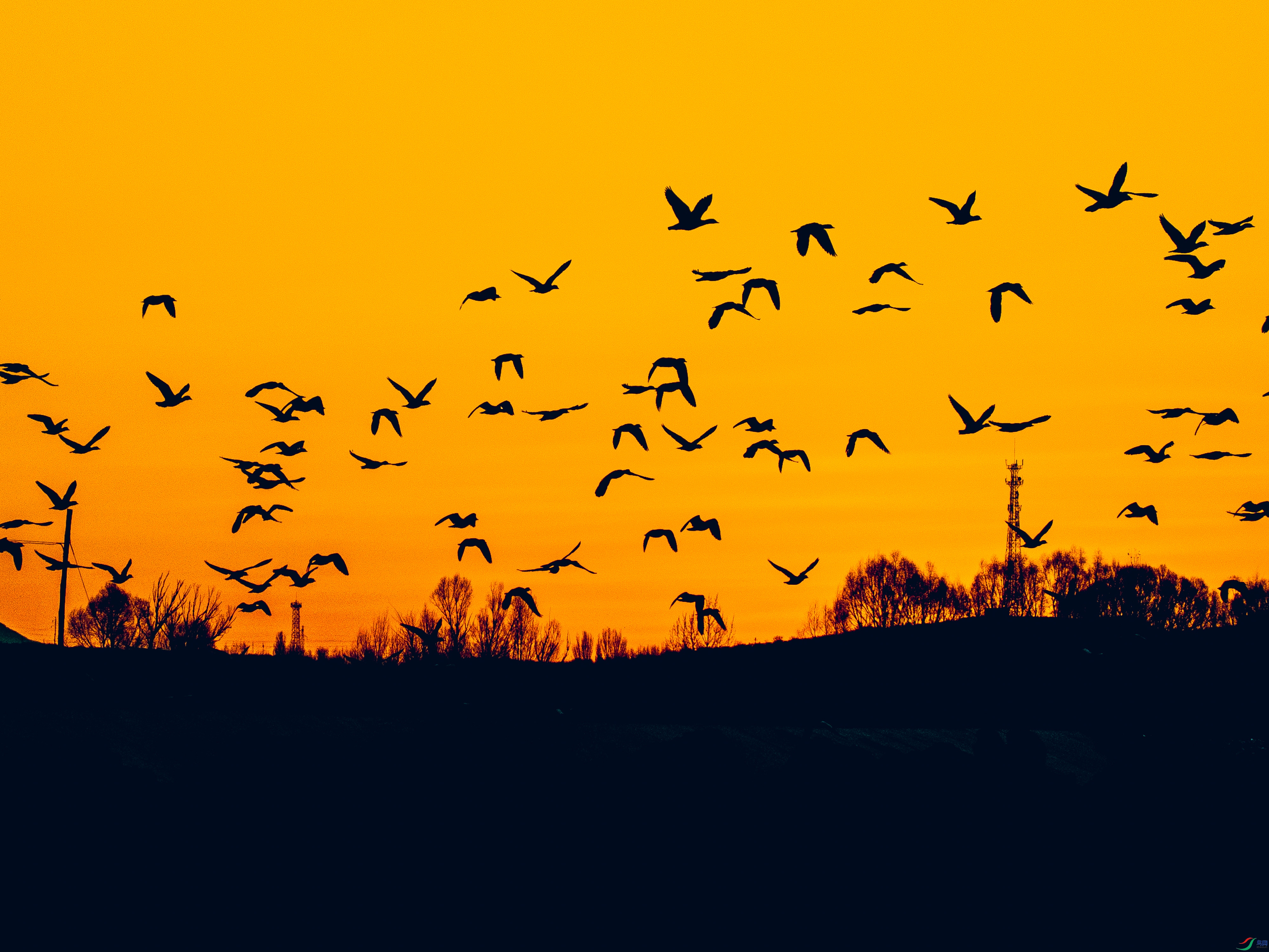 ������ 1