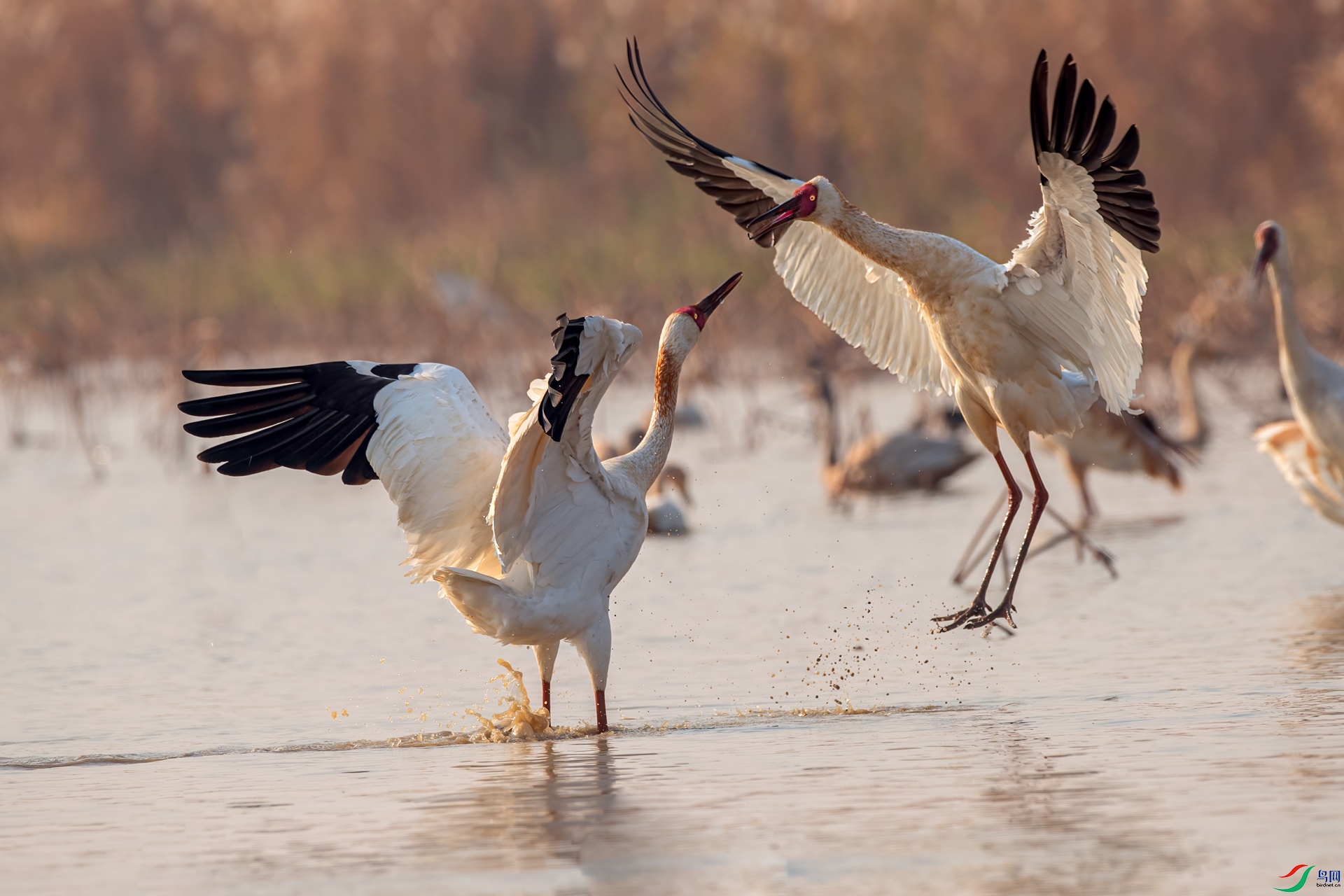 B86I1327 _����.jpg