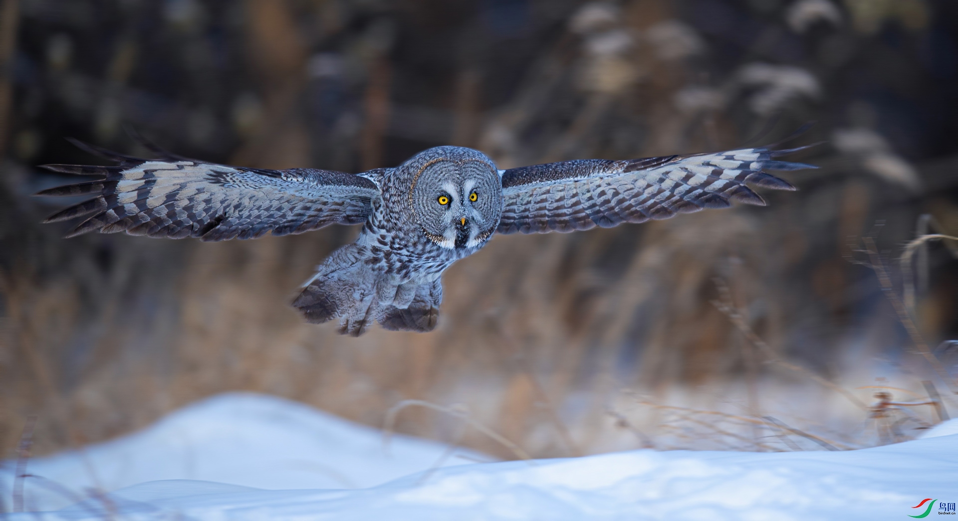 _DSC1197==1w.jpg