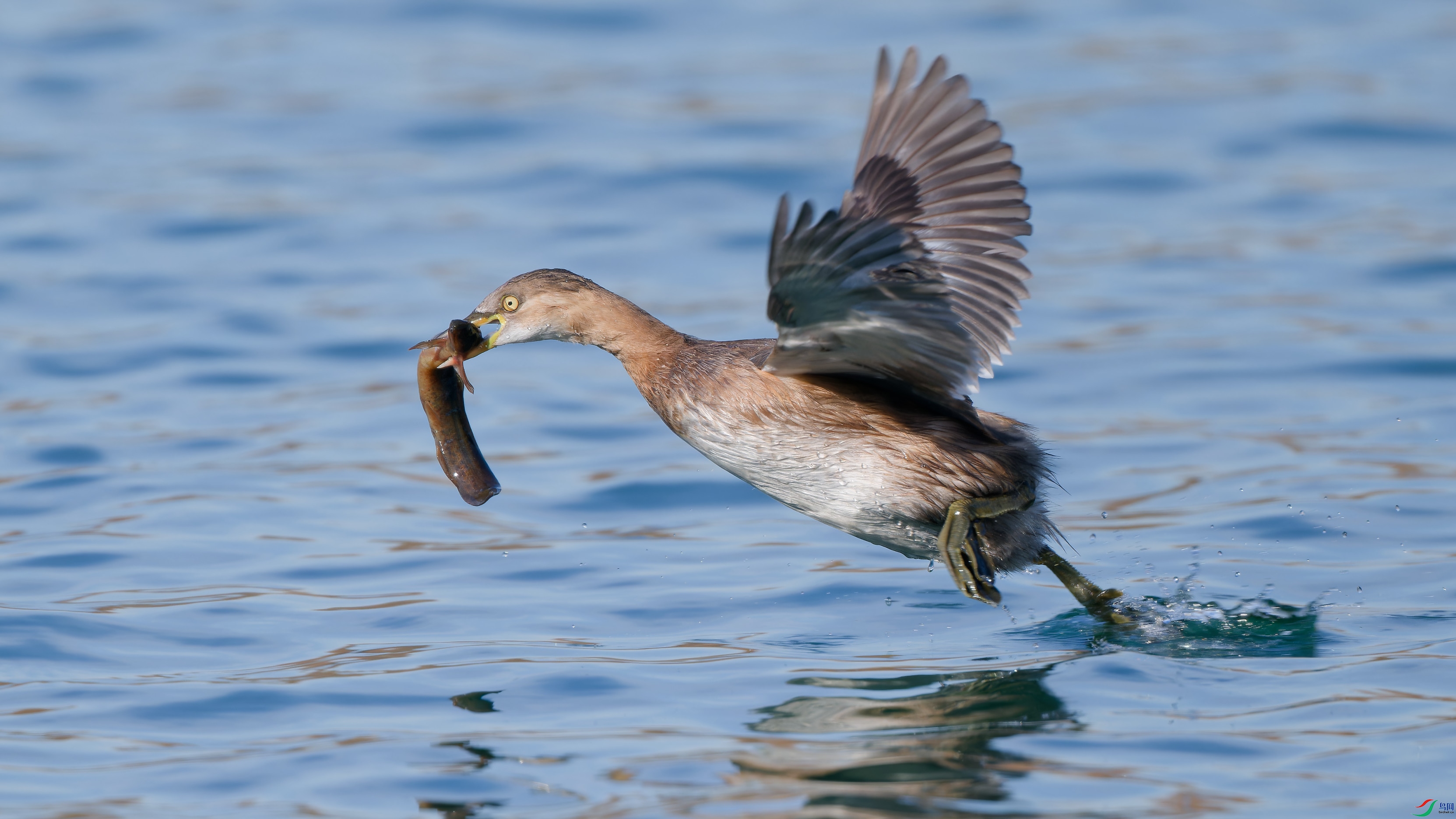 DSC_6544.jpg