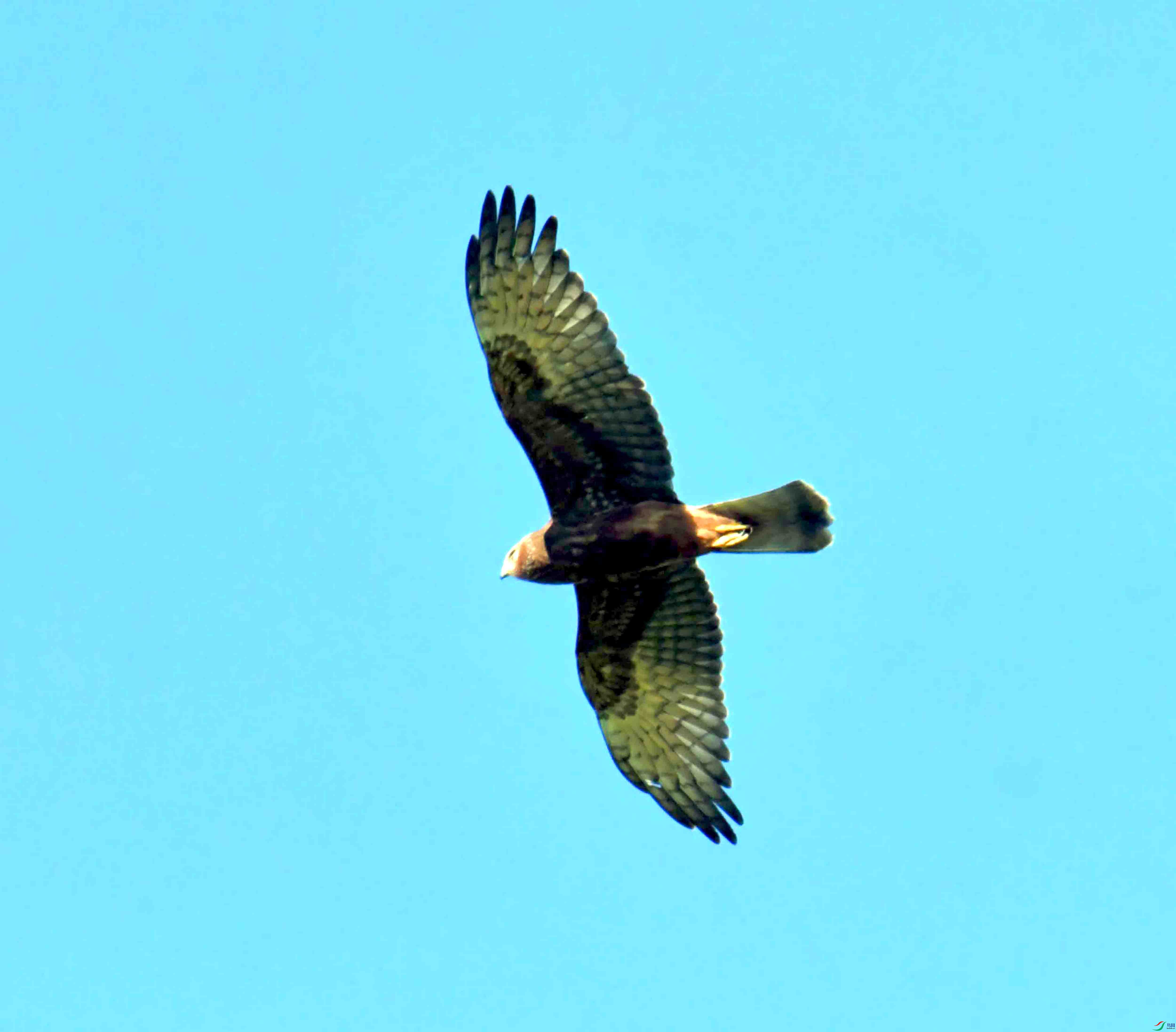 DSC_4259.JPG