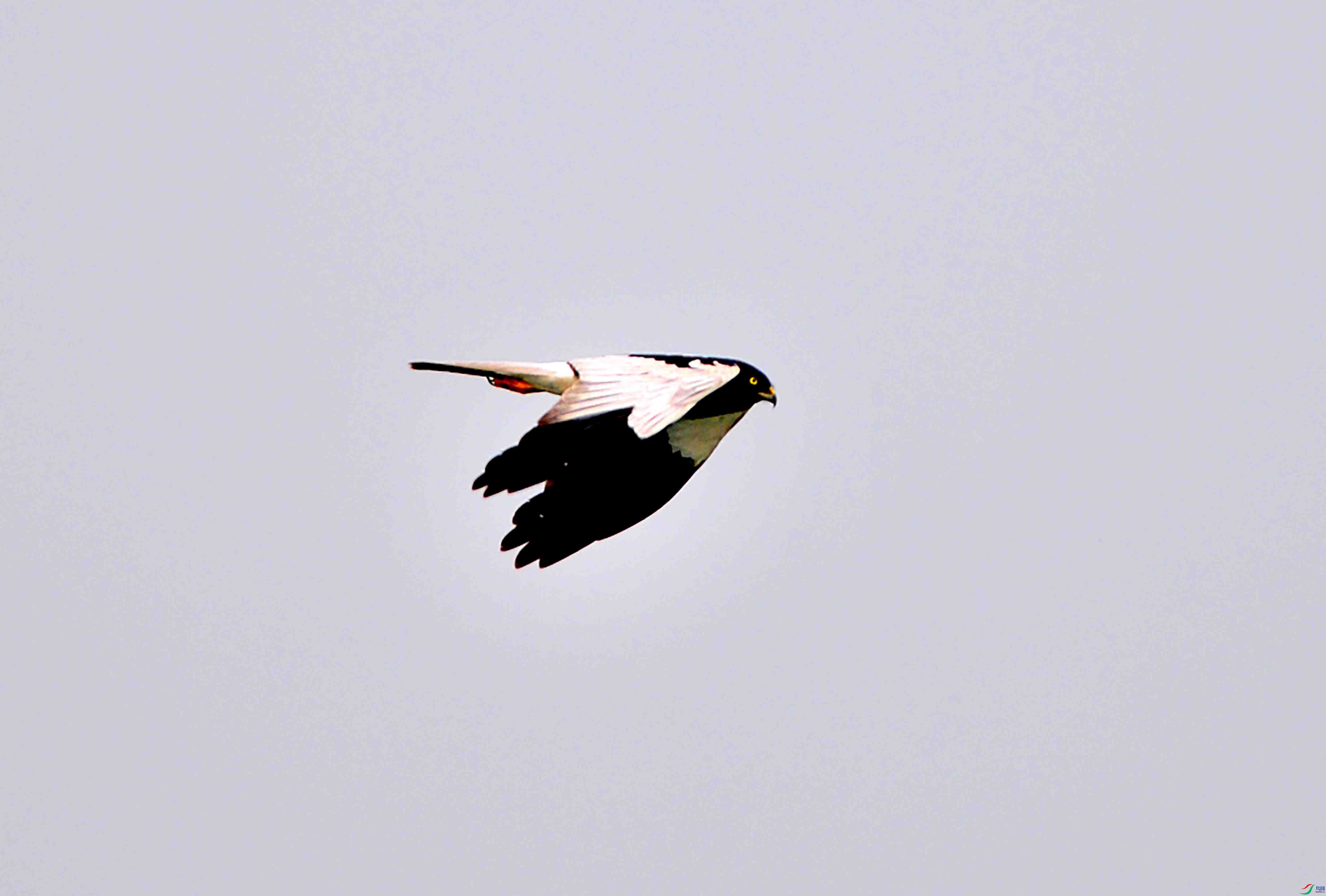 DSC_5481.JPG