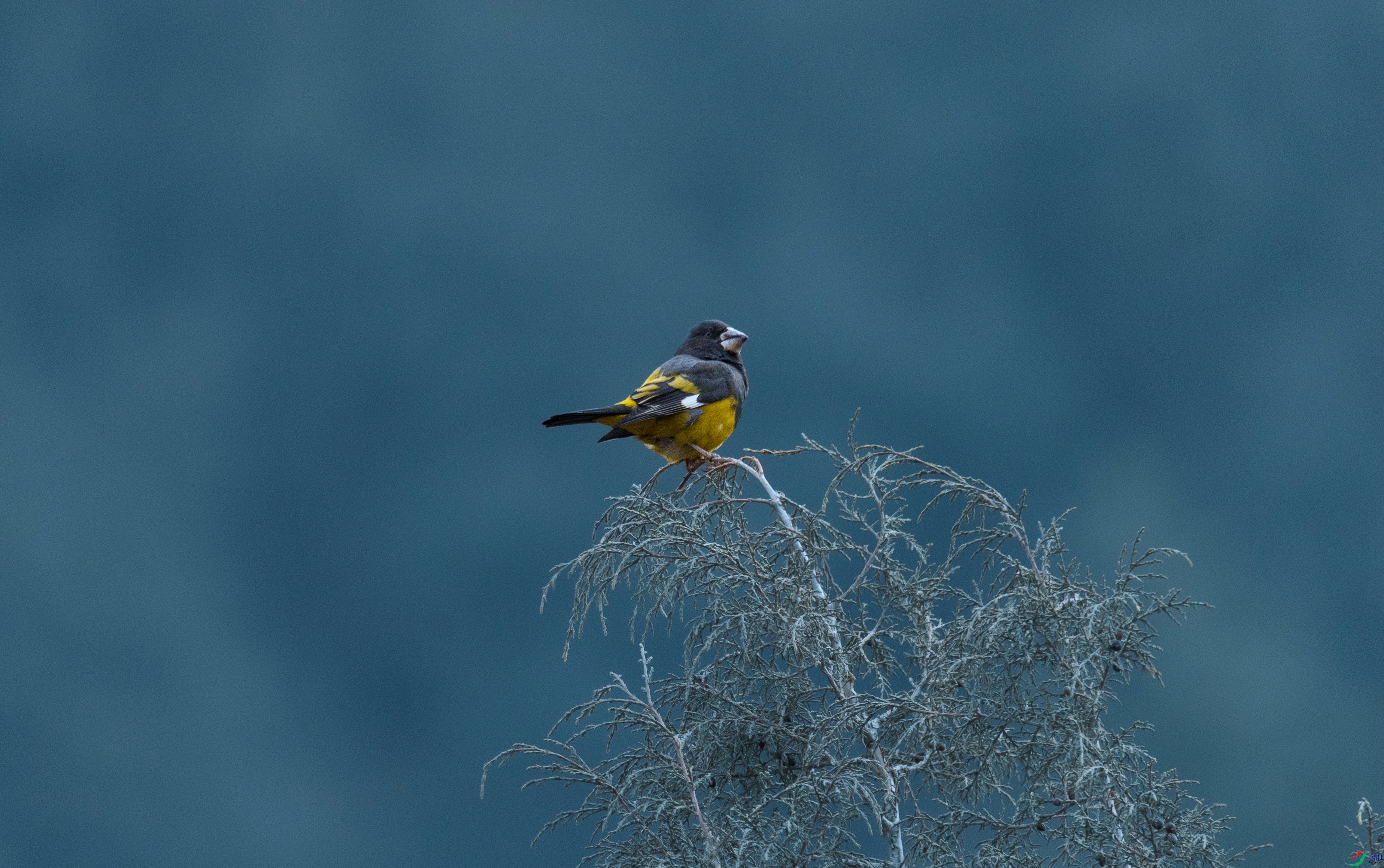 7X5A1236 ���� - ����.jpg