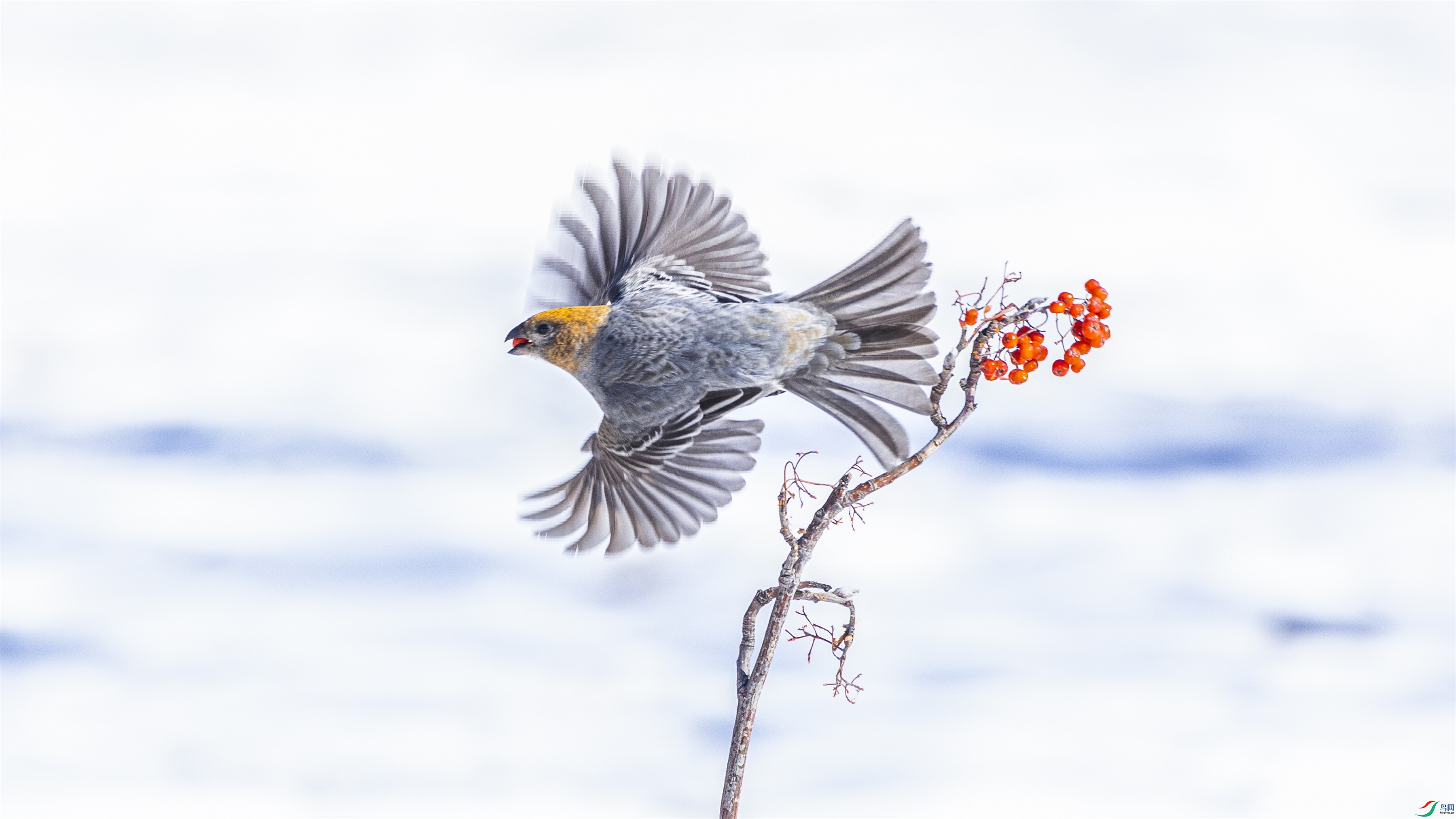 1K3A3995 ����1.jpg