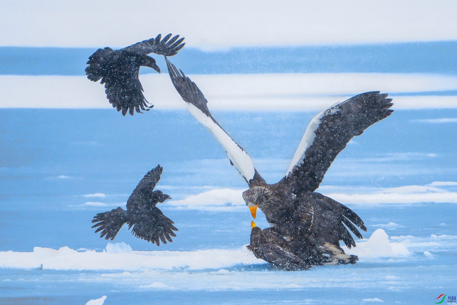 �������