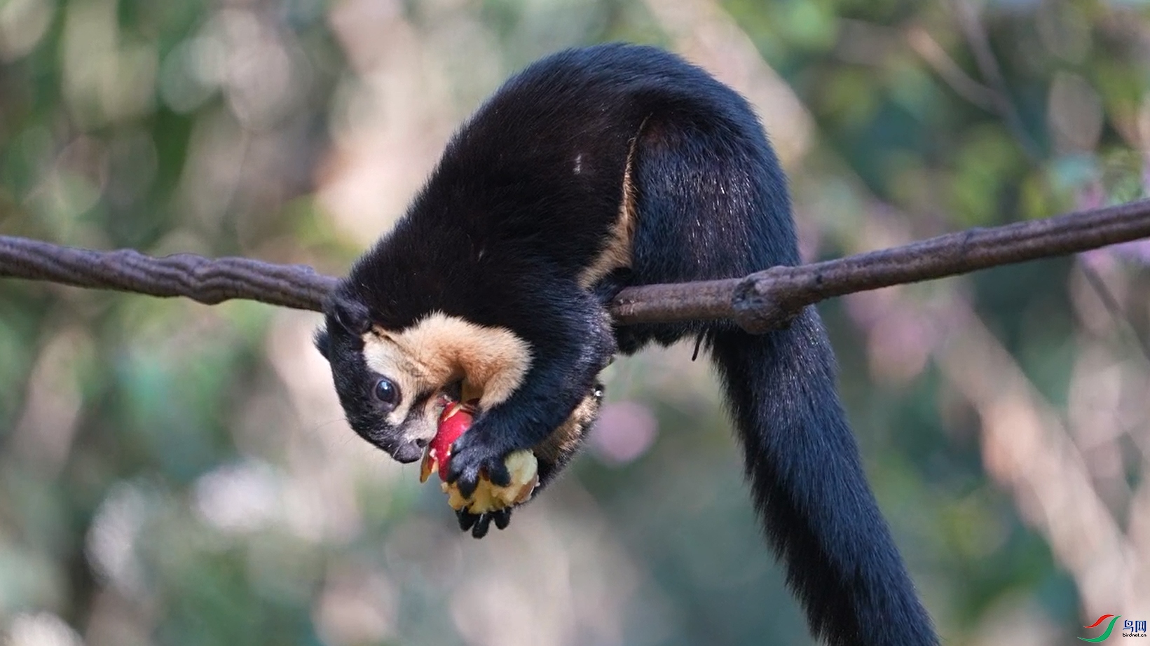 ΢��ͼƬ_20240206181244 ����.jpg