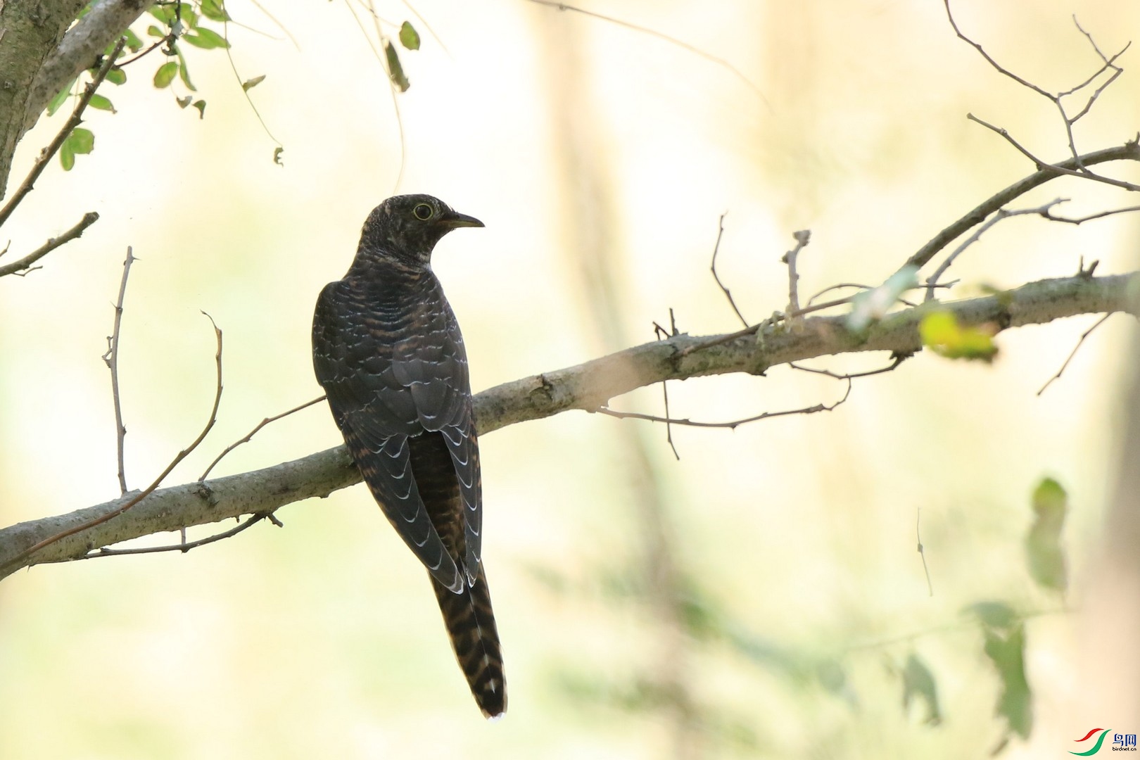 ʲô�ž飿 0F4A1259.jpg