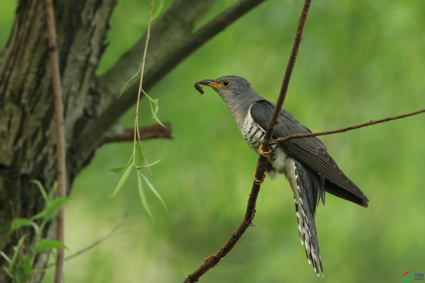 С�ž飿  0F4A4003.jpg