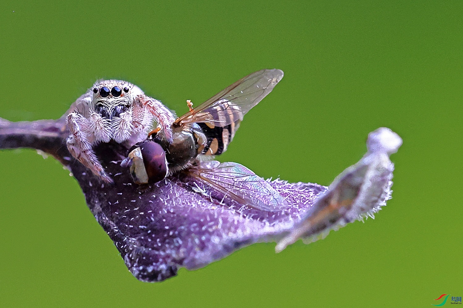 BL6I5042.JPG