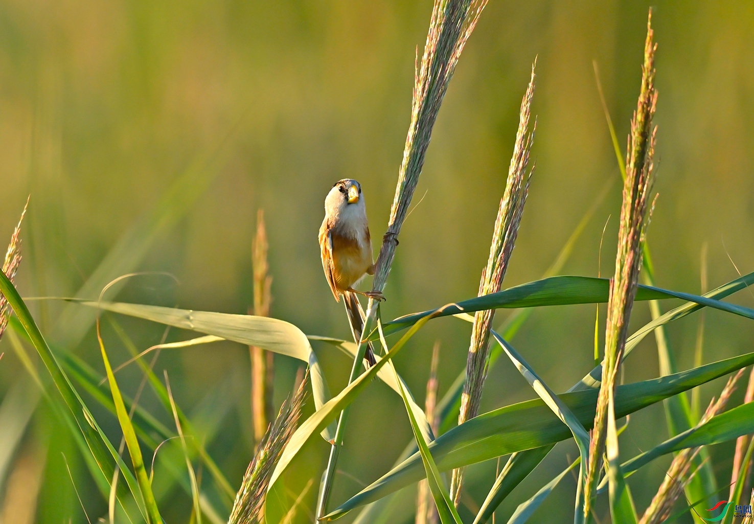 _DSC7608f.jpg