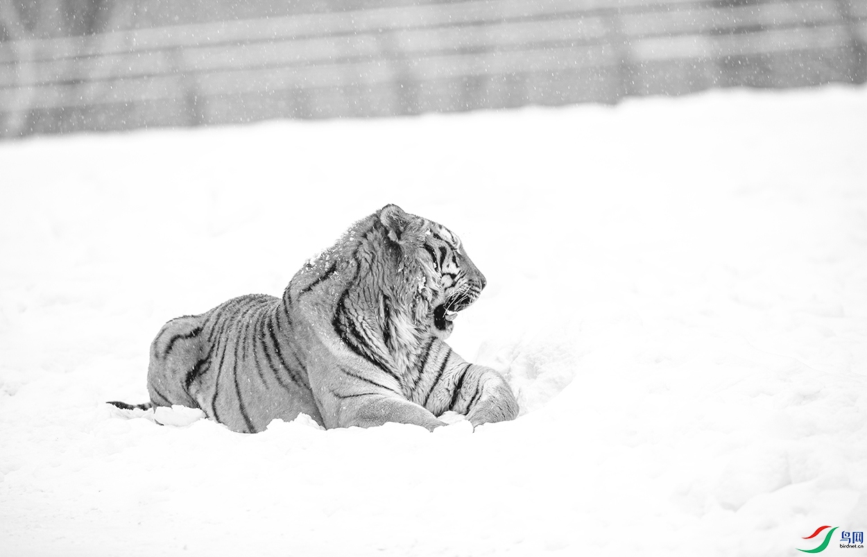 AC3I9247 ����1 ����.jpg