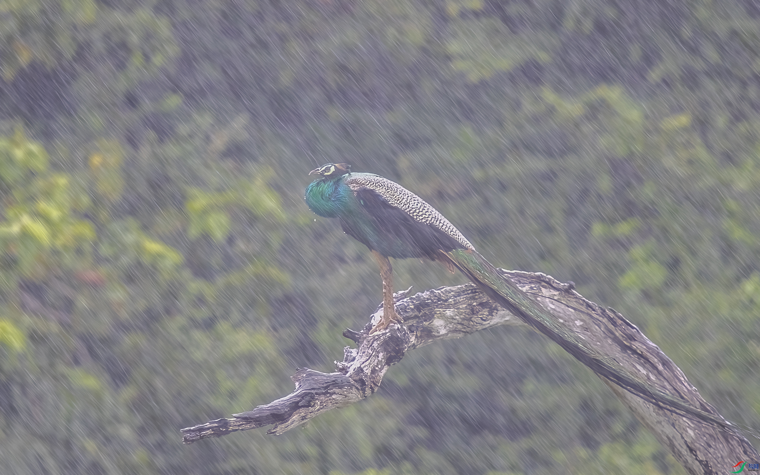 AC3I4209 ����.jpg