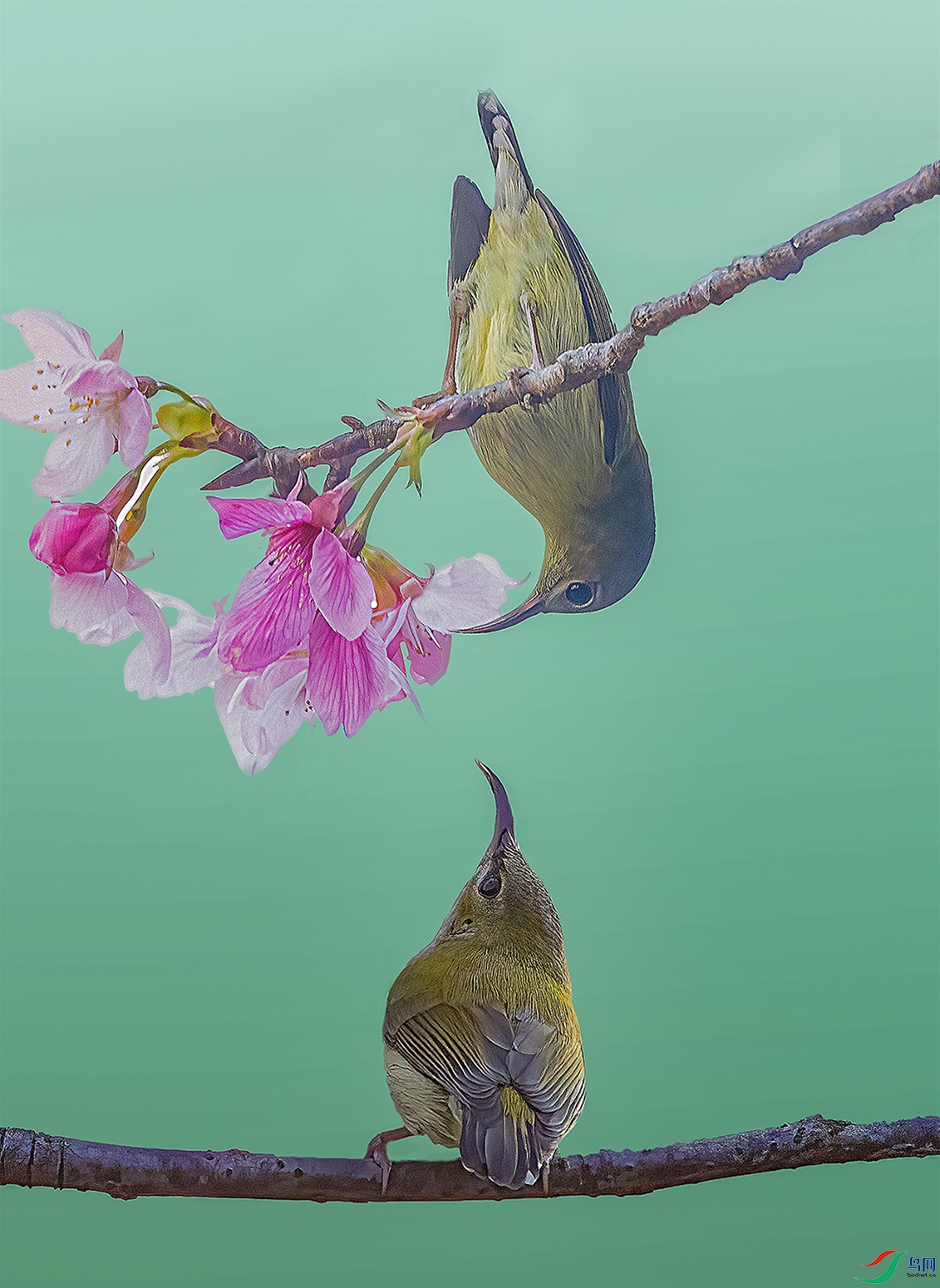Ŀ��б�ӣ�
