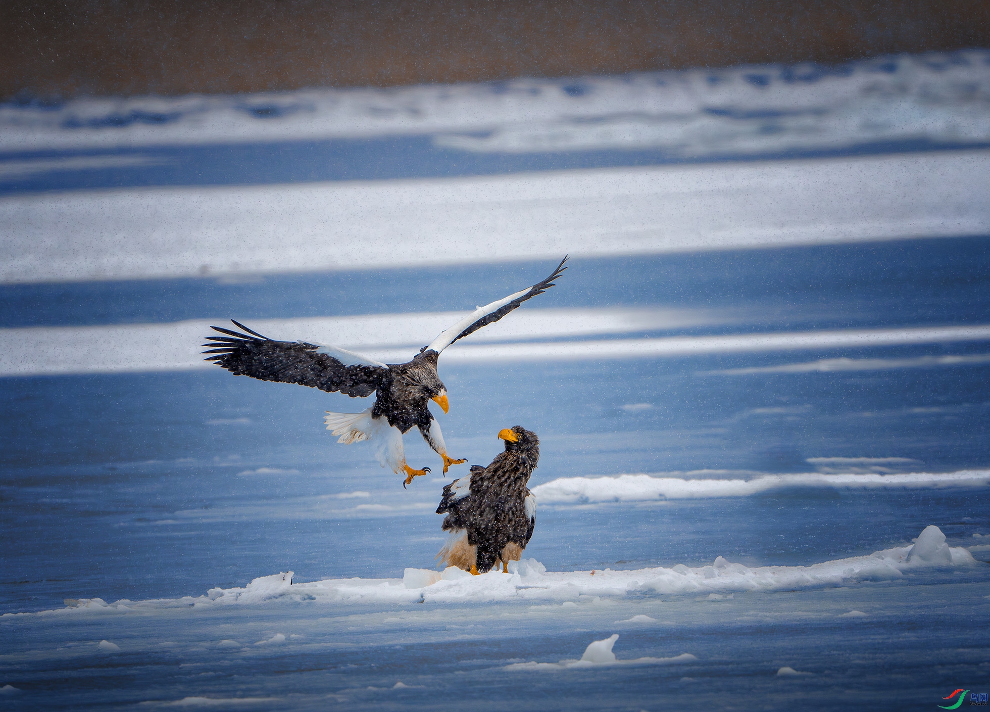 _DSC9709-����ǿ-NR ����.jpg