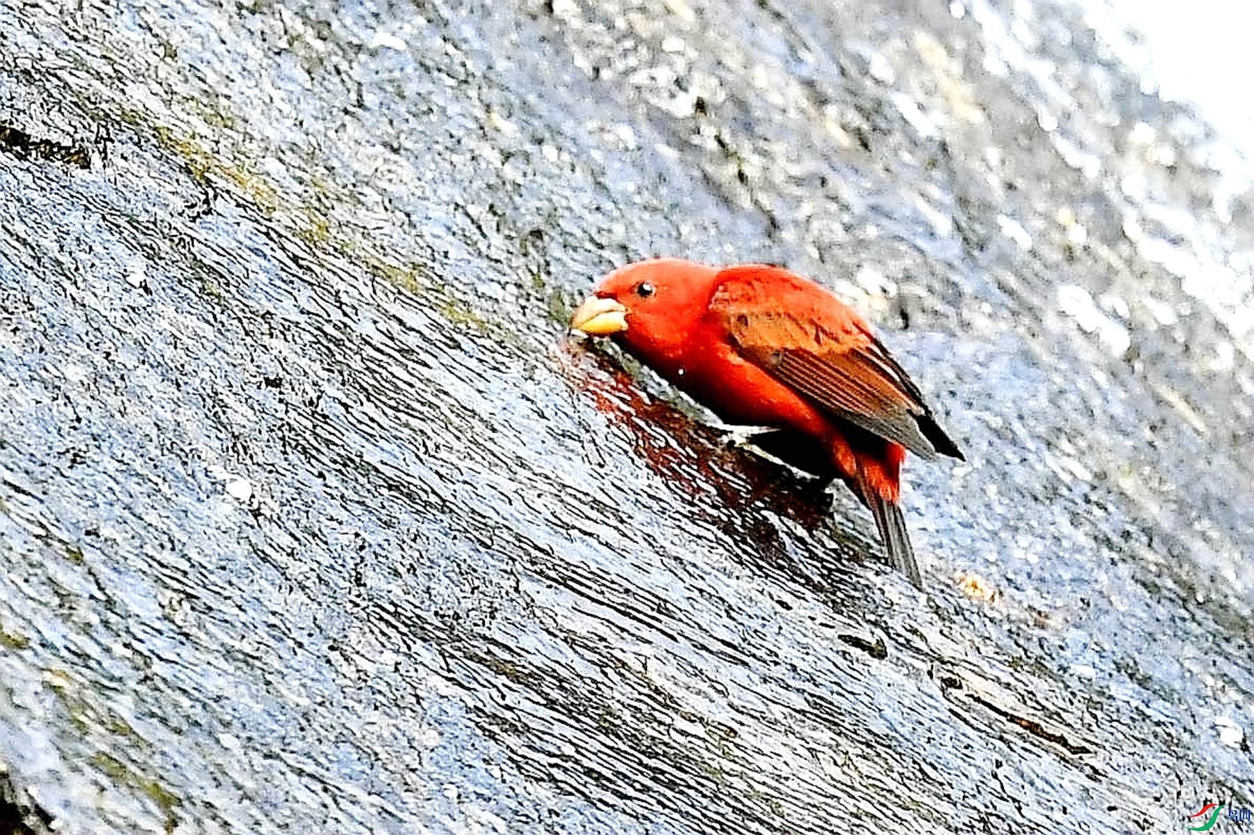 DSC_5469_����.jpg