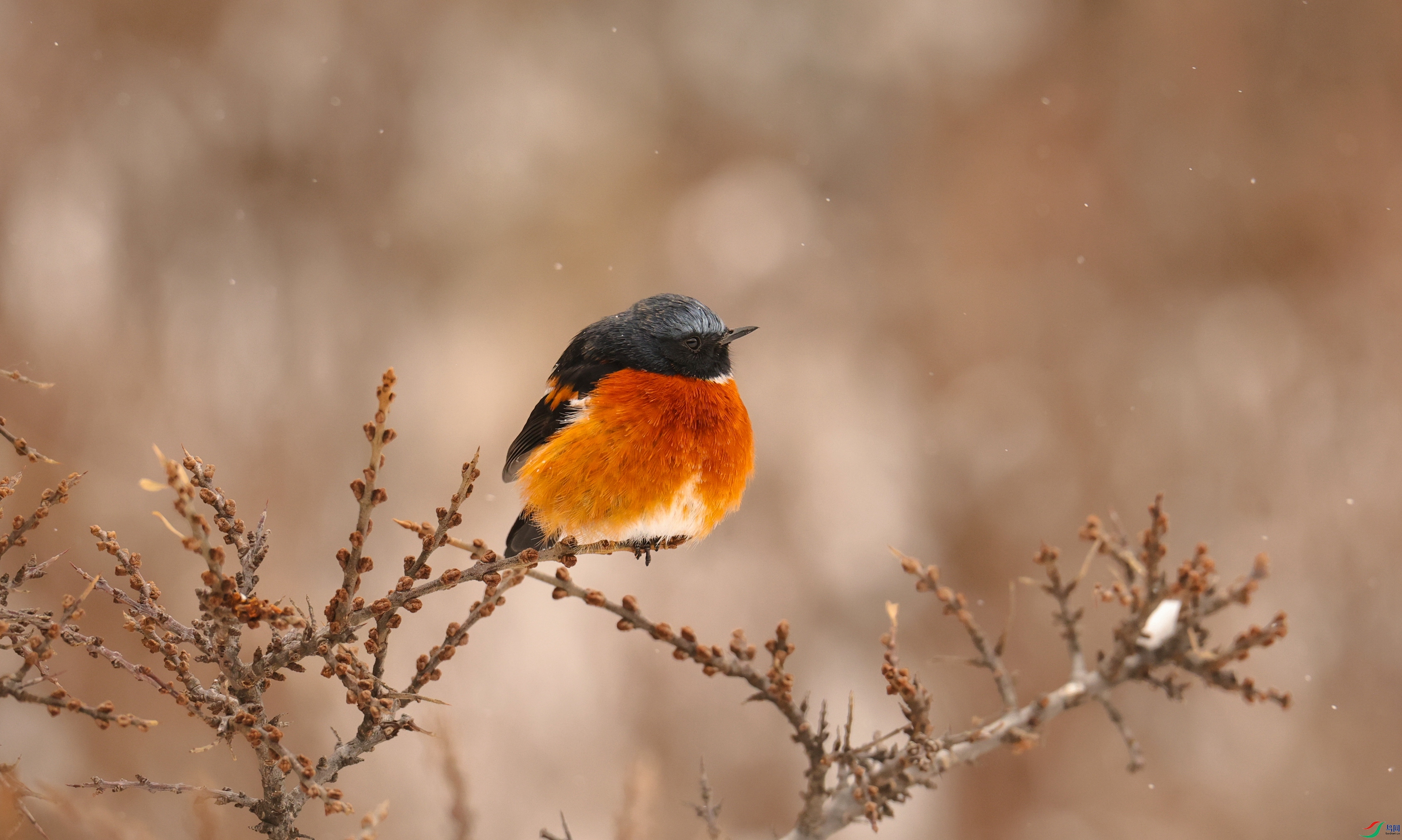 7X5A1645 - ����.JPG