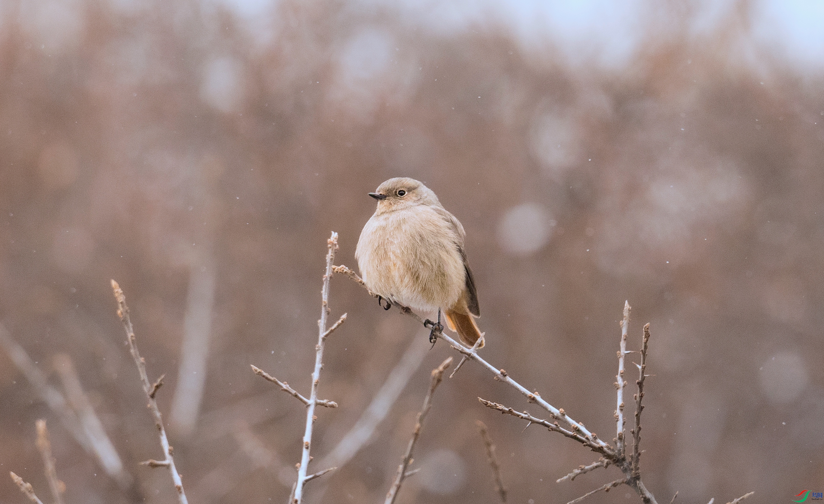 7X5A1809 ���� - ����.jpg