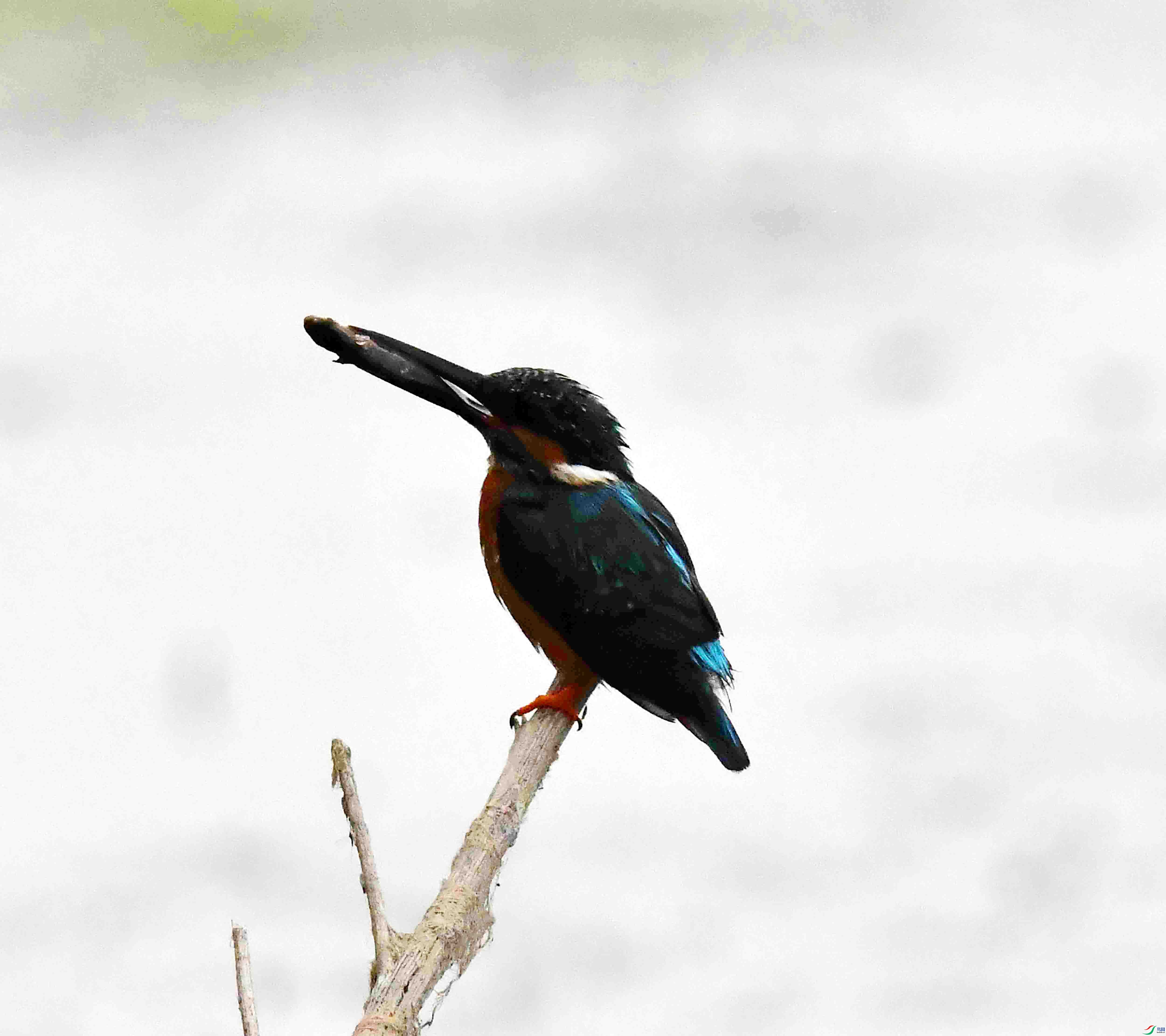 DSC_9842.JPG