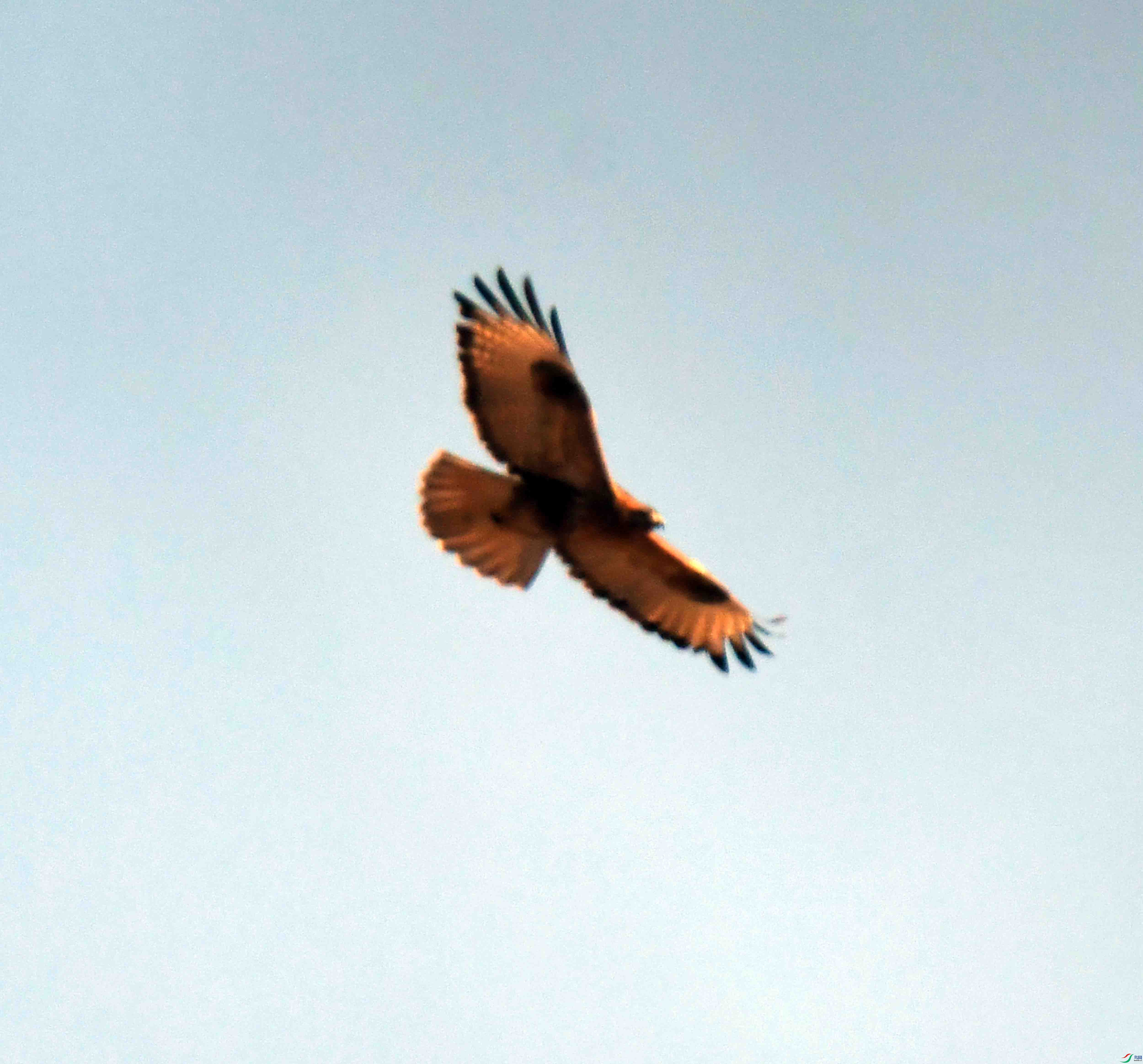 DSC_3128.JPG