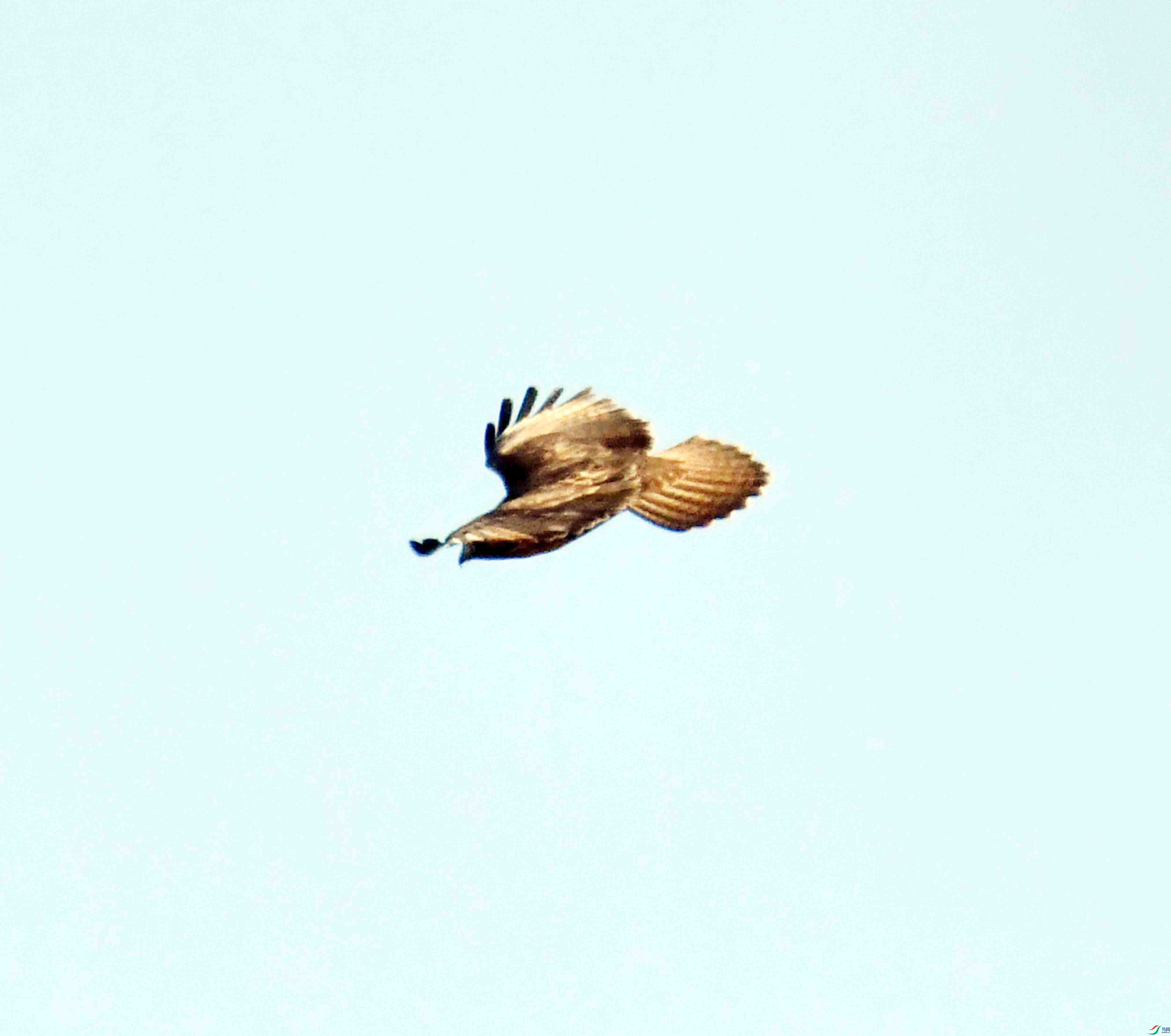 DSC_3125.JPG