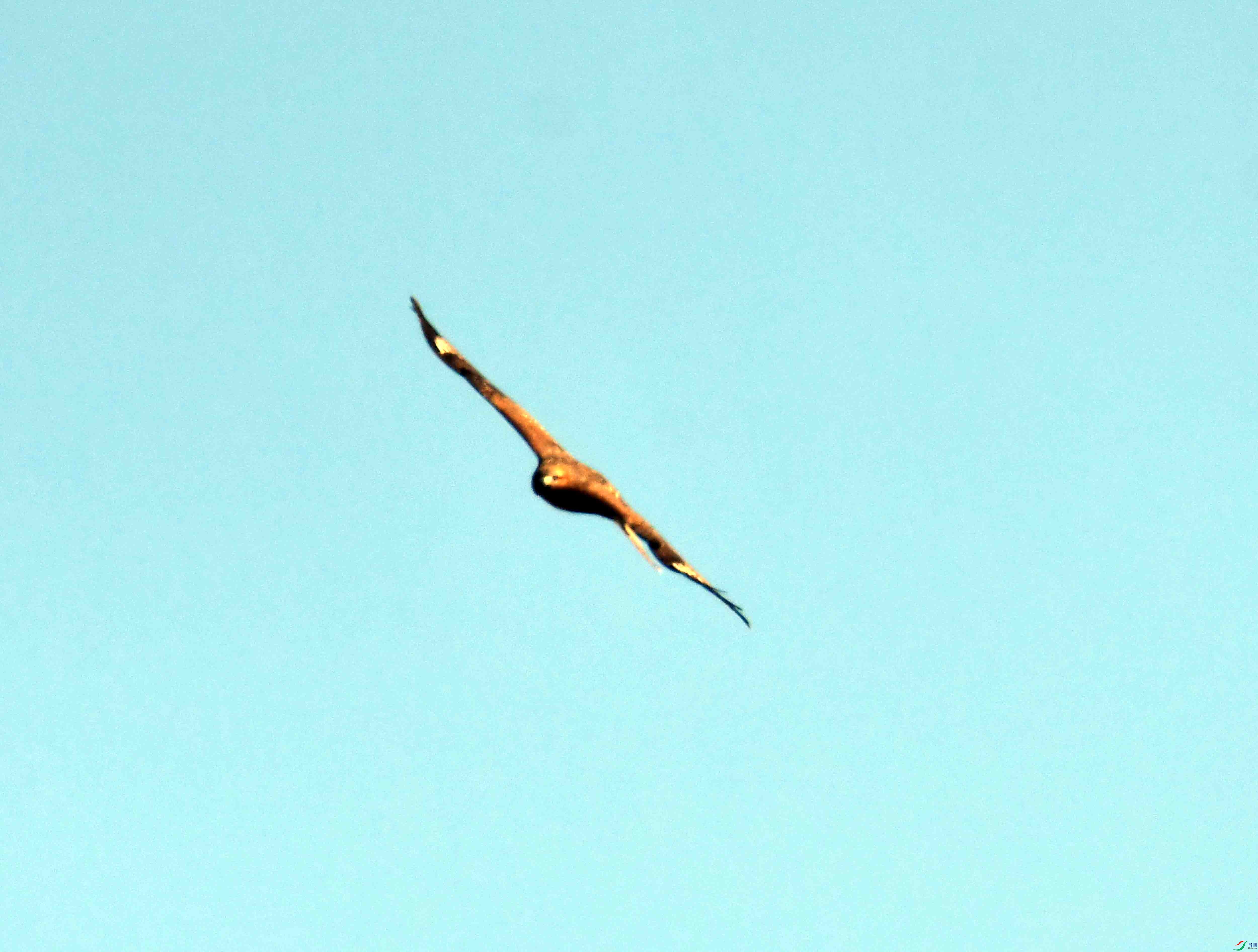 DSC_3126.JPG
