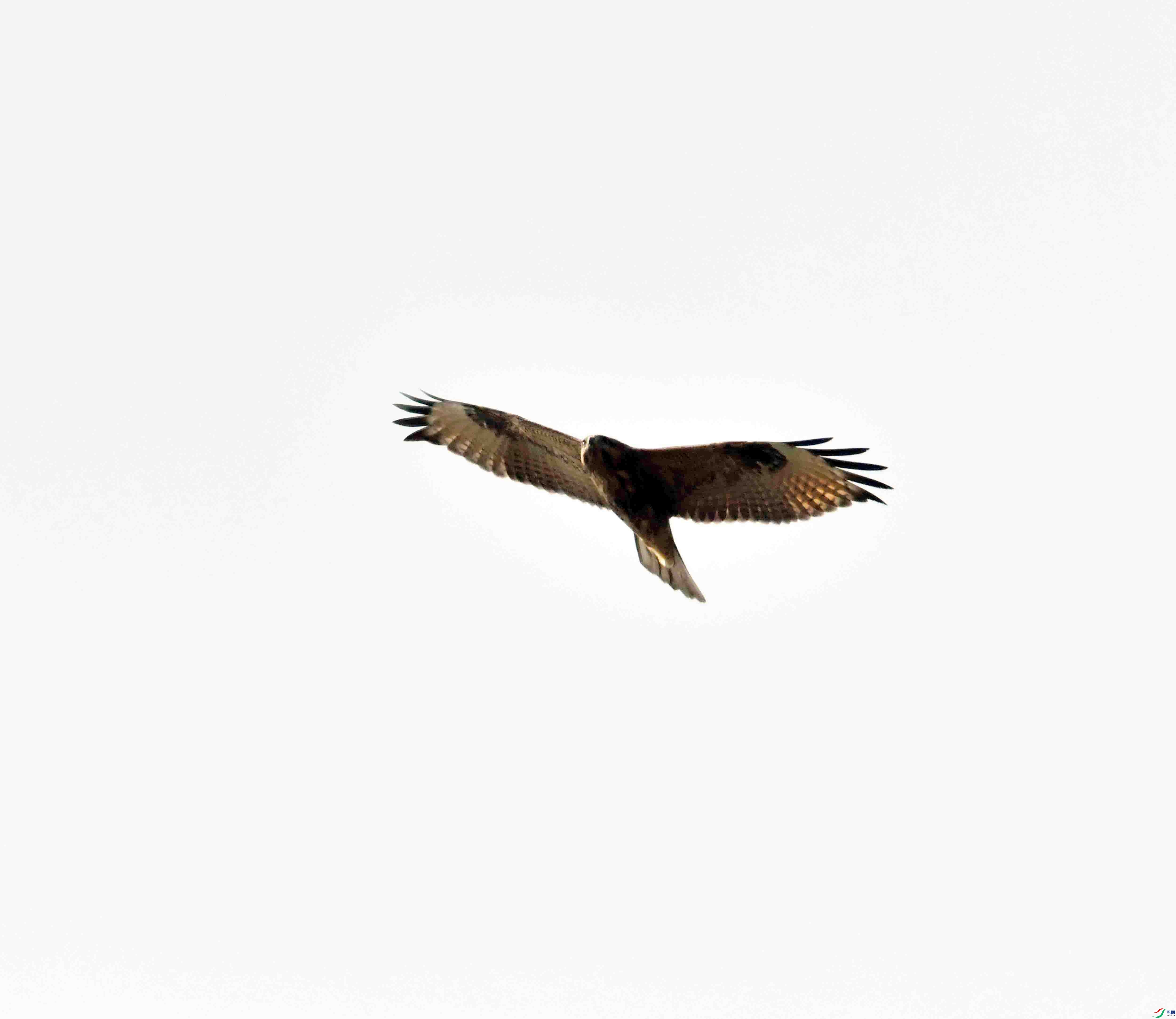 DSC_7771.JPG