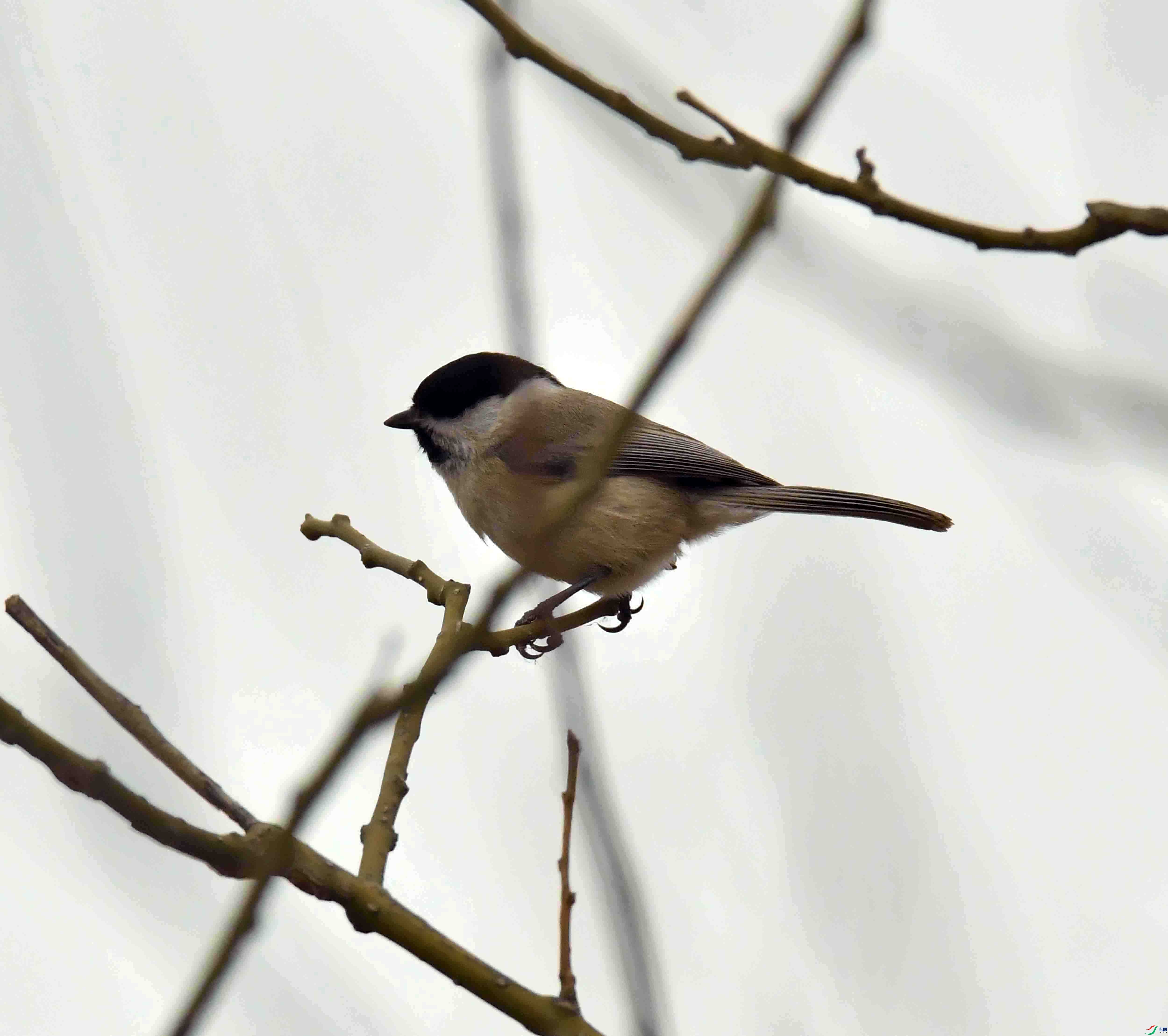 DSC_0861.JPG