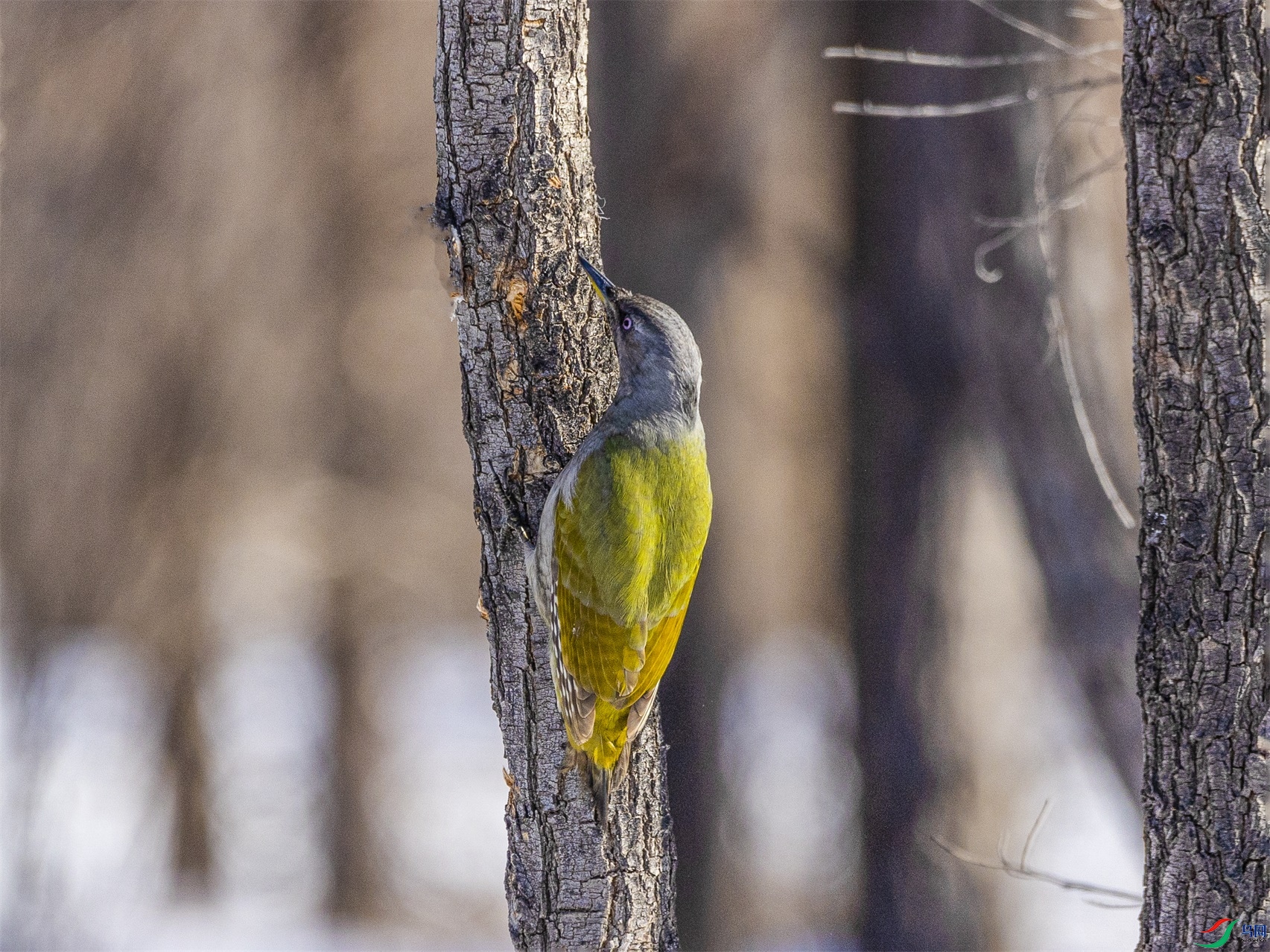 1K3A3401 ����1.jpg