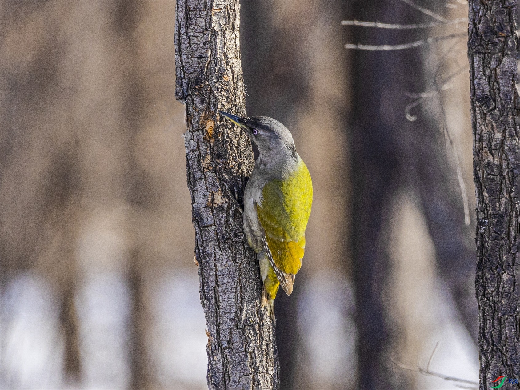 1K3A3404 ����1.jpg