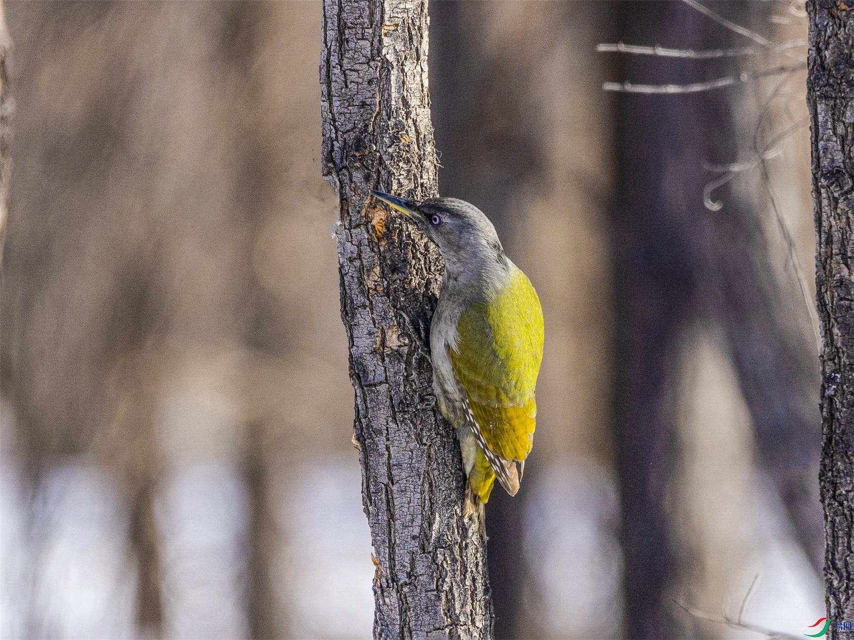 1K3A3406 ����1.jpg