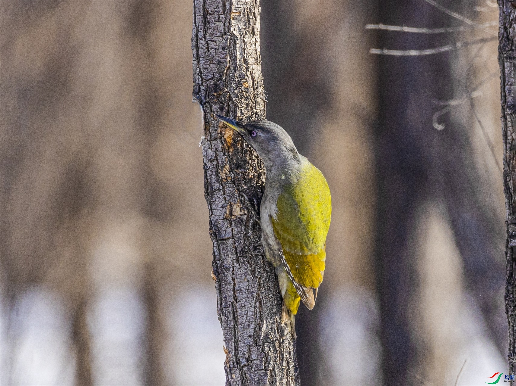 1K3A3408 ����1.jpg