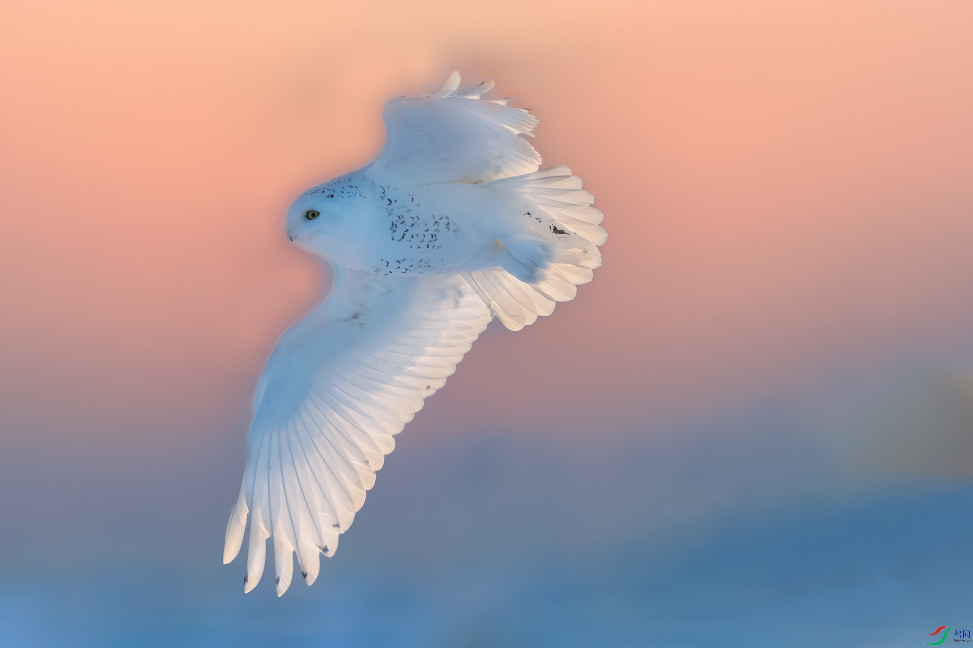 ѩ�^----���ӷ緶