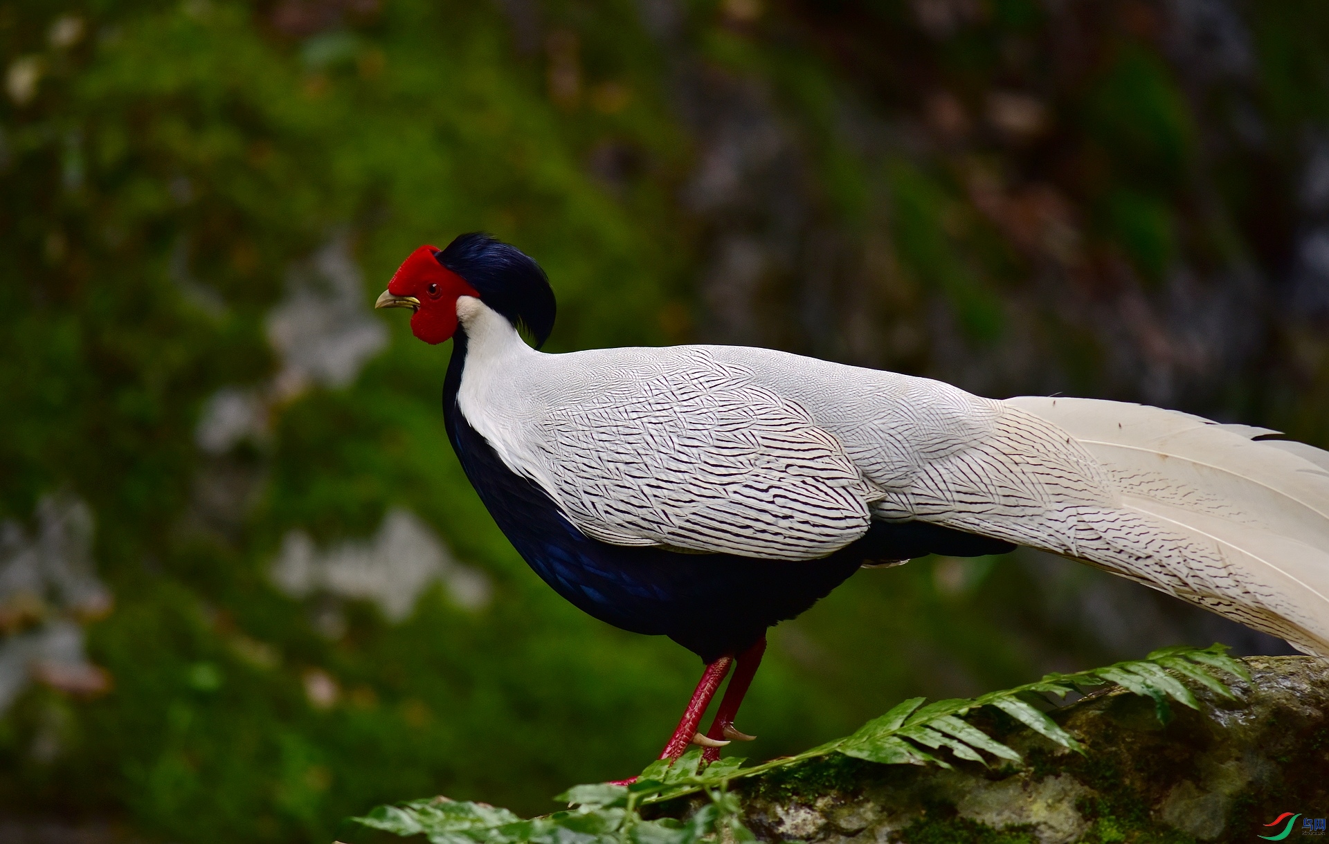 D8I_1280.jpg