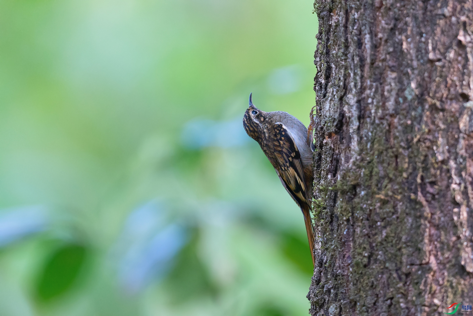 DSC_4663_DxOa.jpg