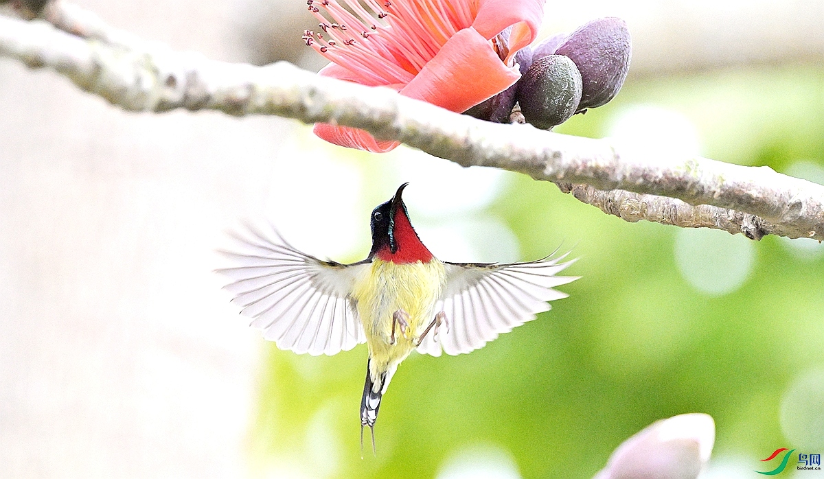 DSC_1971 - ����.JPG