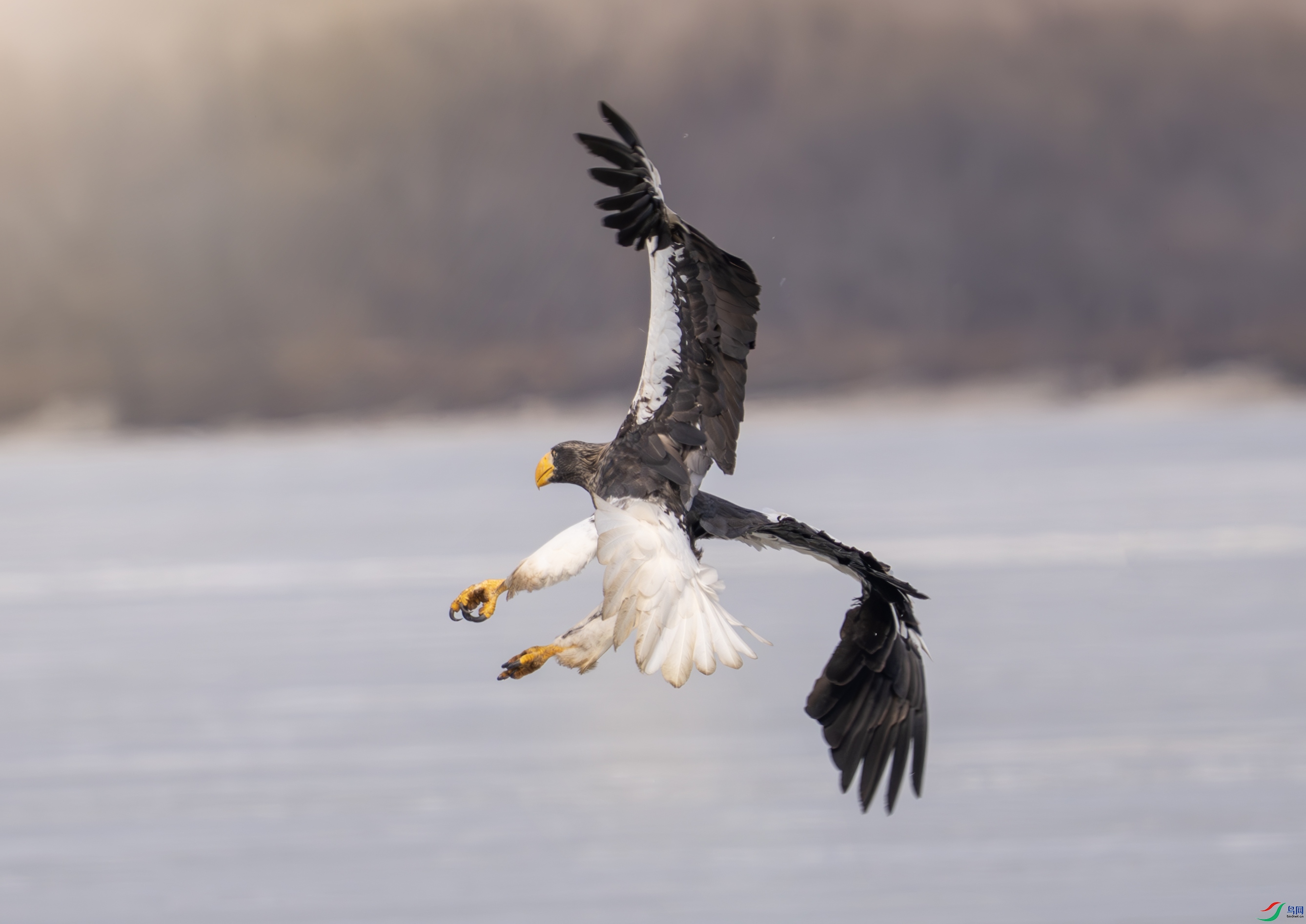 DSC07135-����ǿ-NR ����.jpg