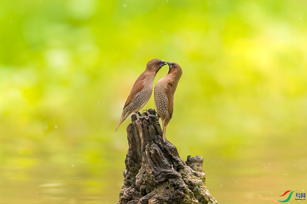 sdwfR230612 (232)_DxO.jpg