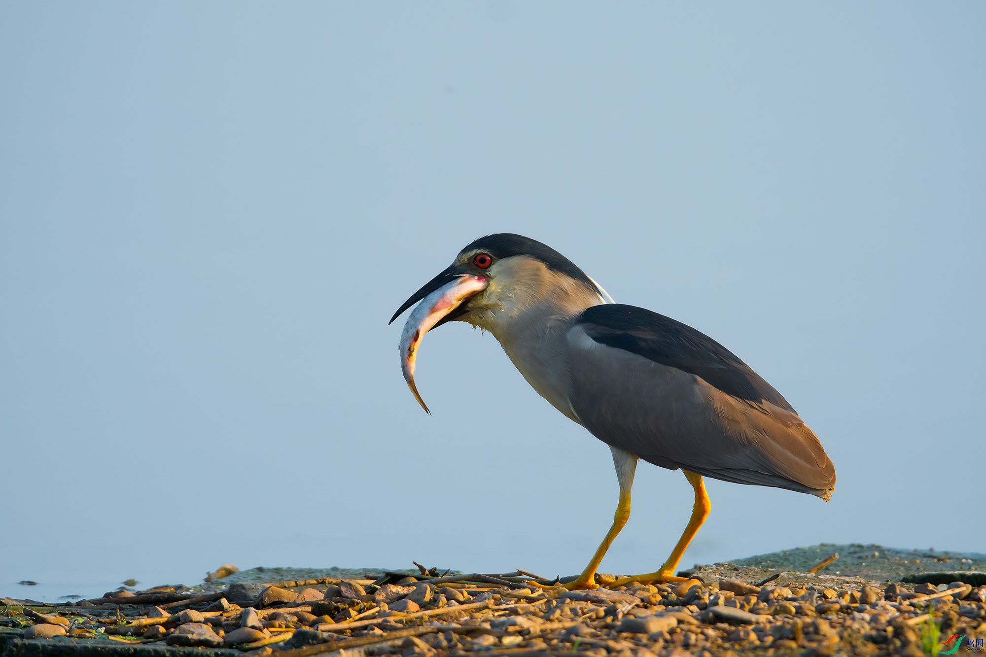 DSC_0813.jpg