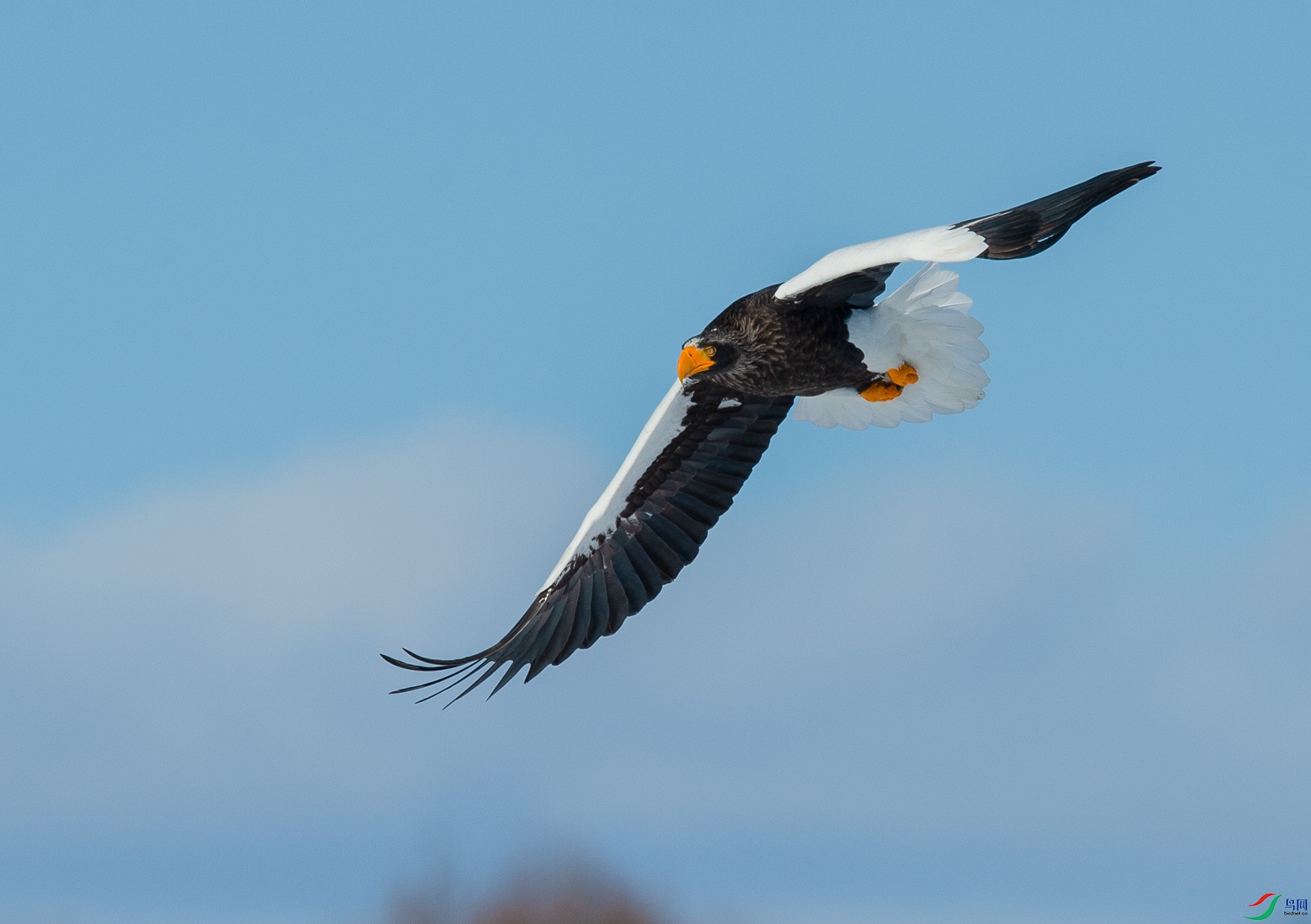 ��DSC_0754.jpg
