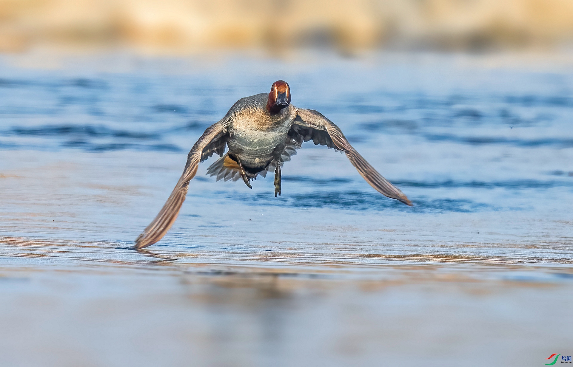 DSC_6764 ����_����.jpg