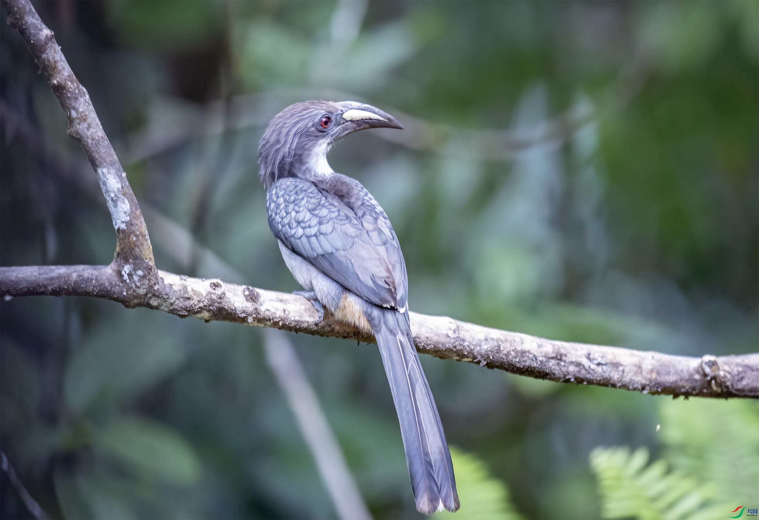 AC3I8454 ����.jpg