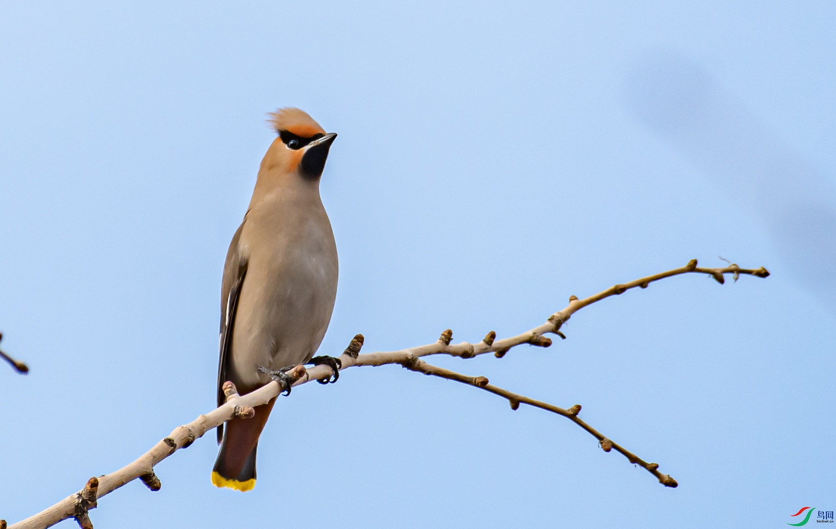 DSC_8015.jpg