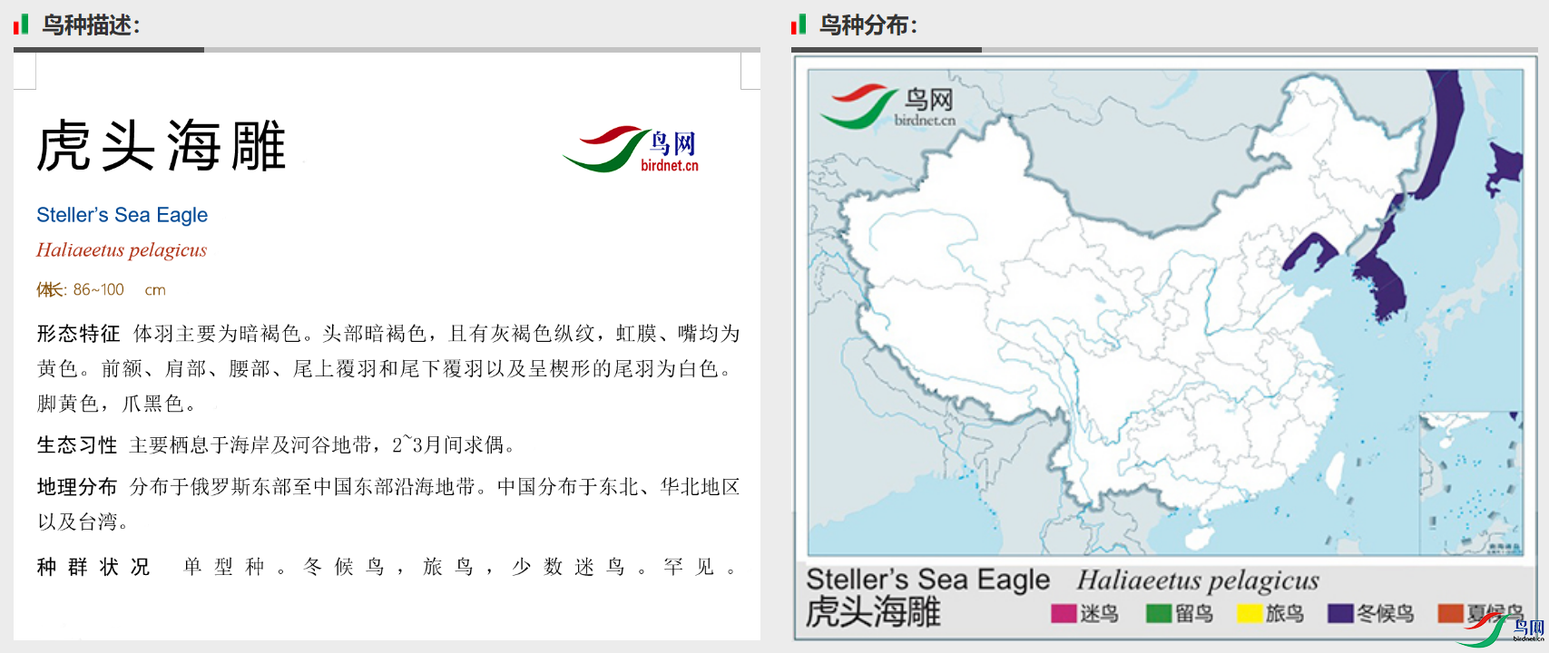 46f50f110f2b6adf710ba5414446811.png