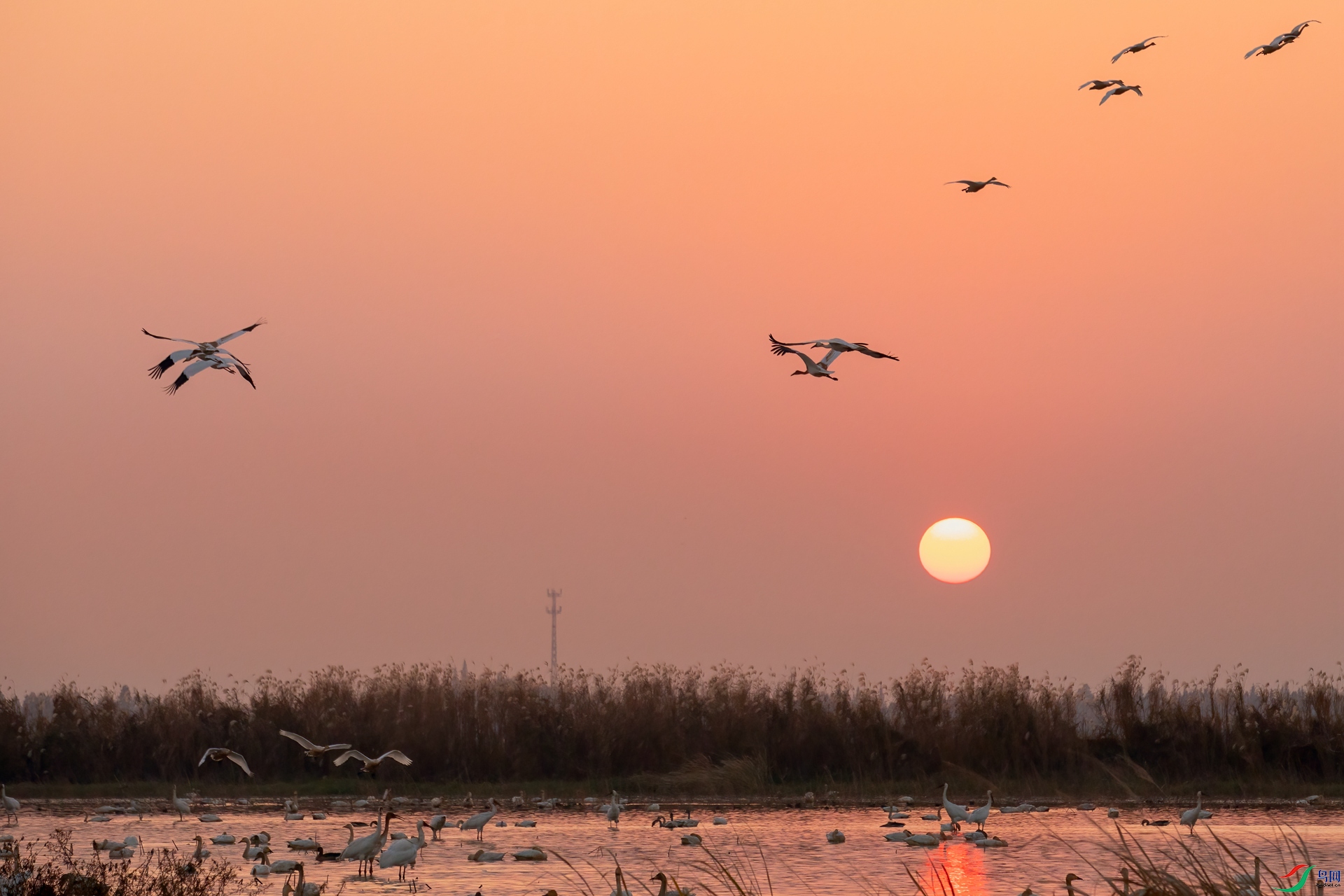 073A4961 _����.jpg